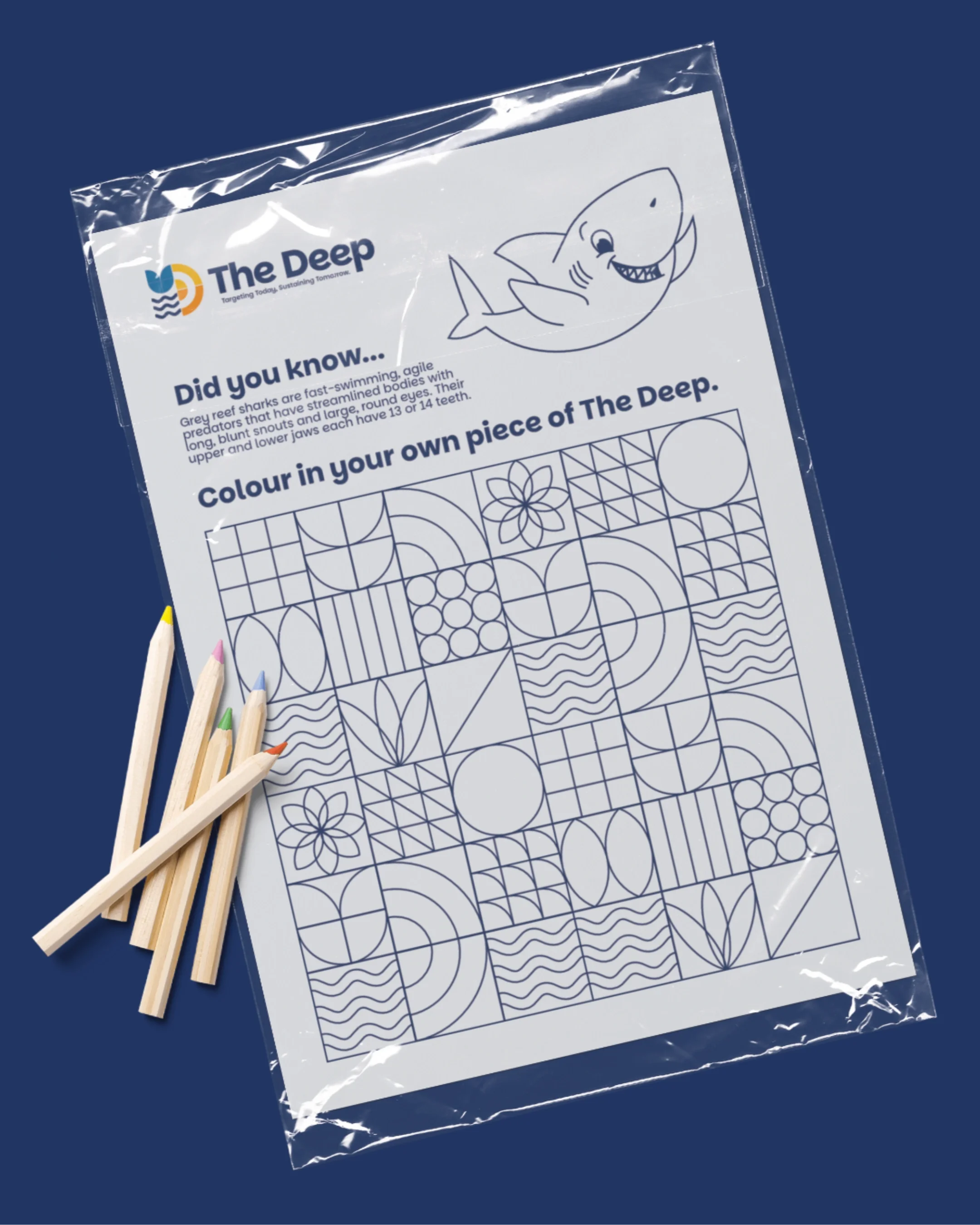 A coloring activity sheet about sharks with the title 'Did you know...' and a drawing of a shark, along with colored pencils on a blue background.
