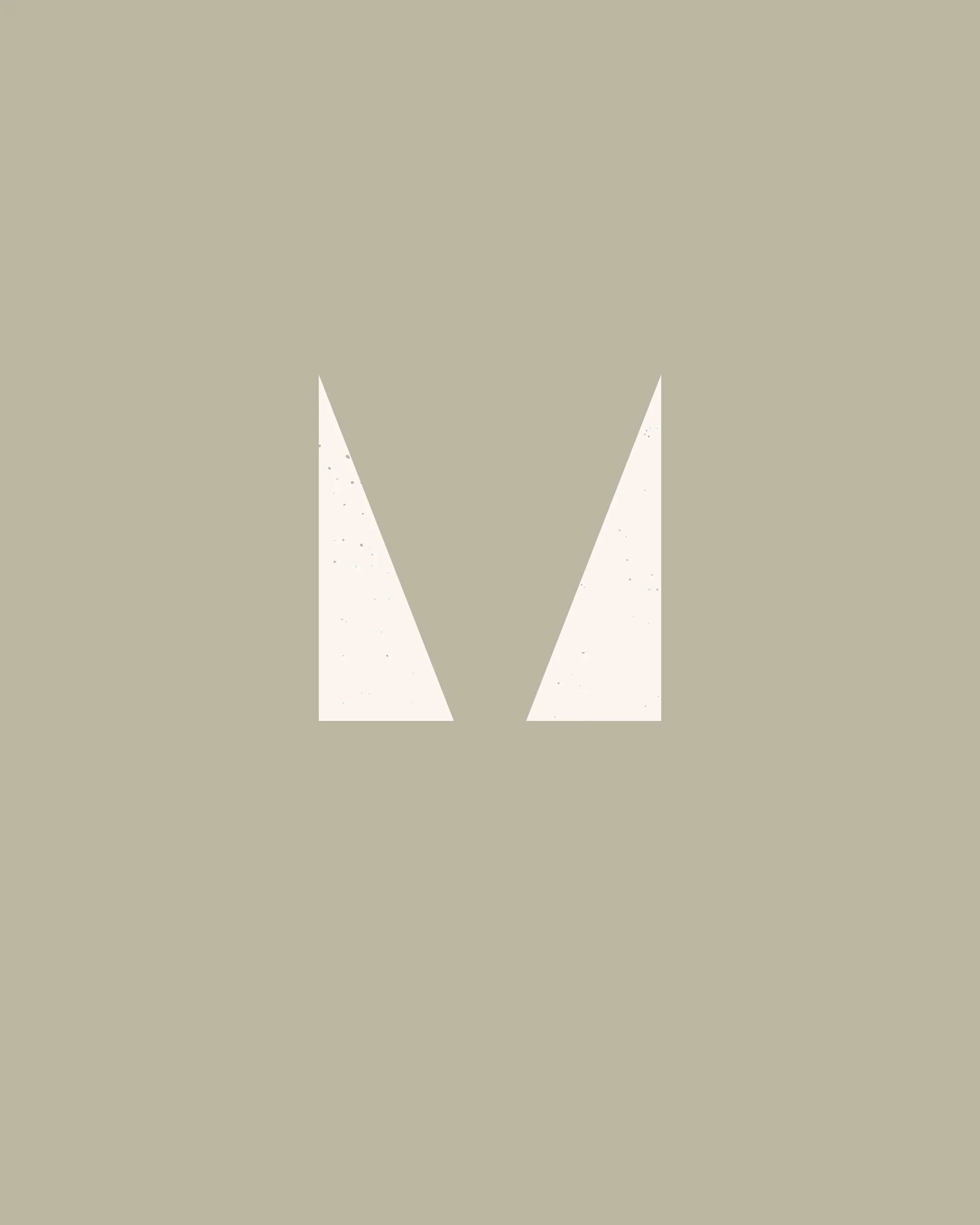 Minimalist graphic with a large serif letter 'V' in white against a light beige background.