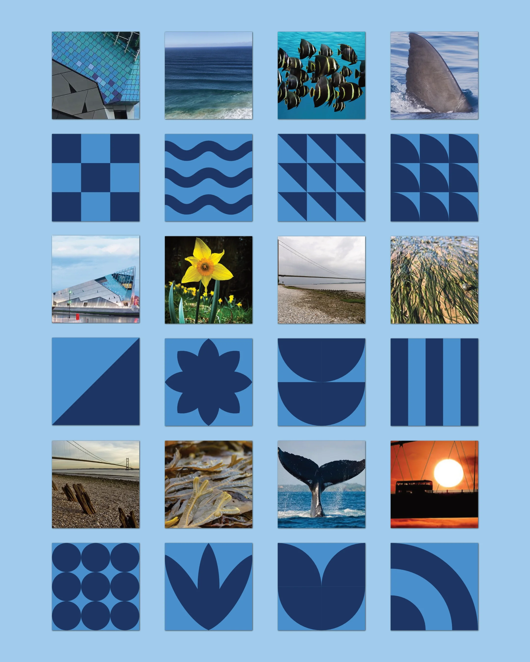 Collage of various images including a swimming pool, ocean waves, tropical fish, a dolphin fin, a modern building, a yellow flower, a bridge, plants, and a whale tail at sunset.