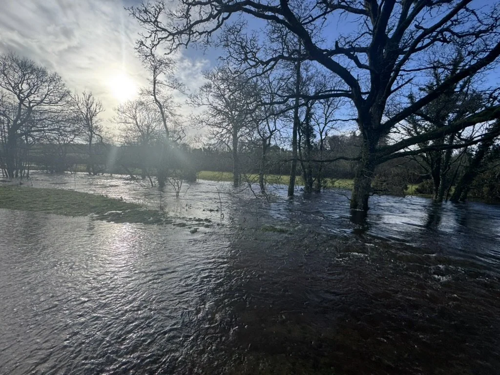 Building a Catchment for 2050