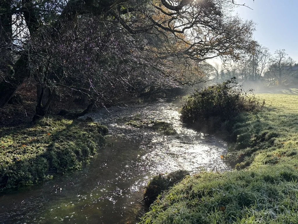 Awareness - The Quiet Success of this Year