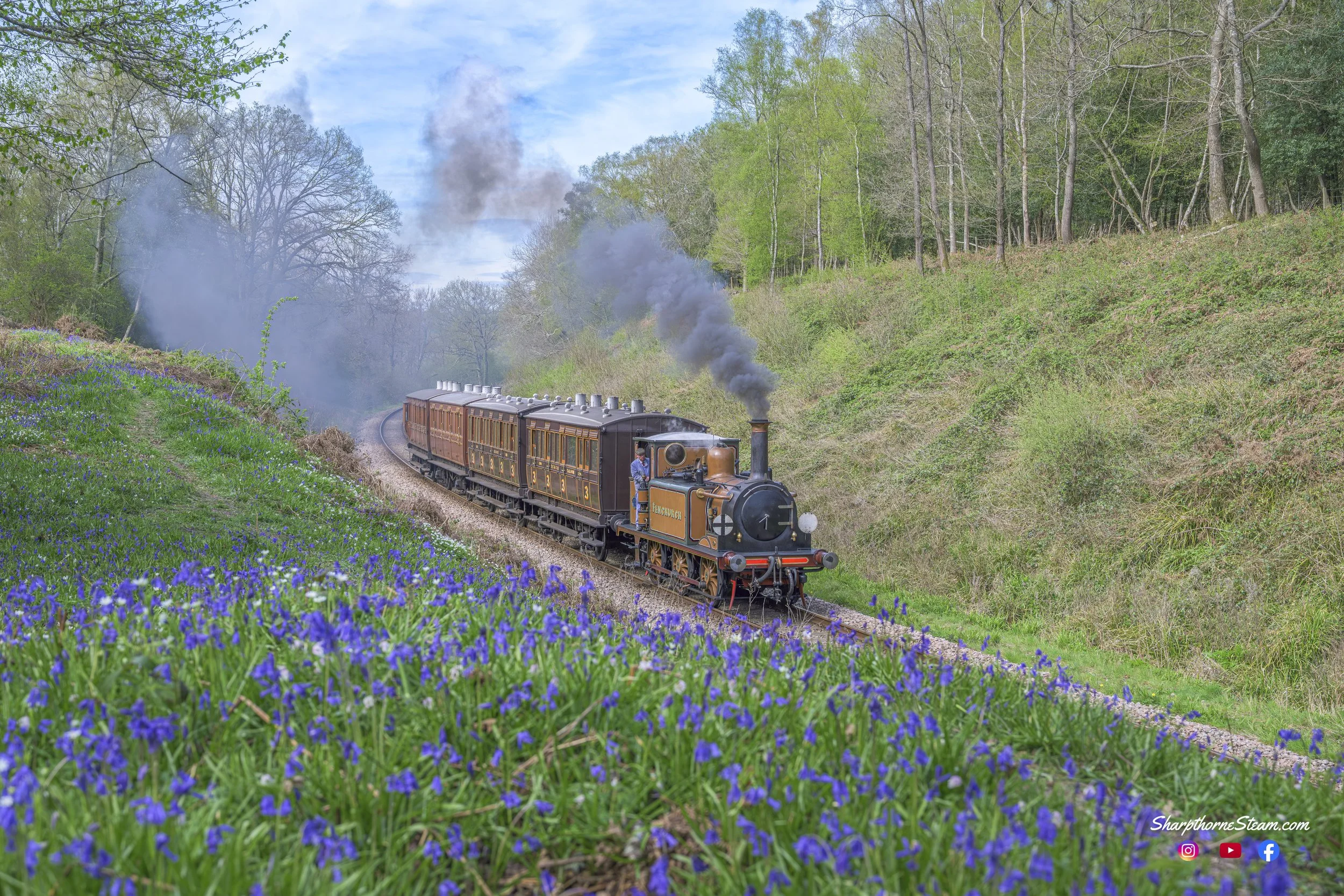 Amongst the Bluebells - No72 continues her journey south watched by the Bluebells of the Lindfield Wood