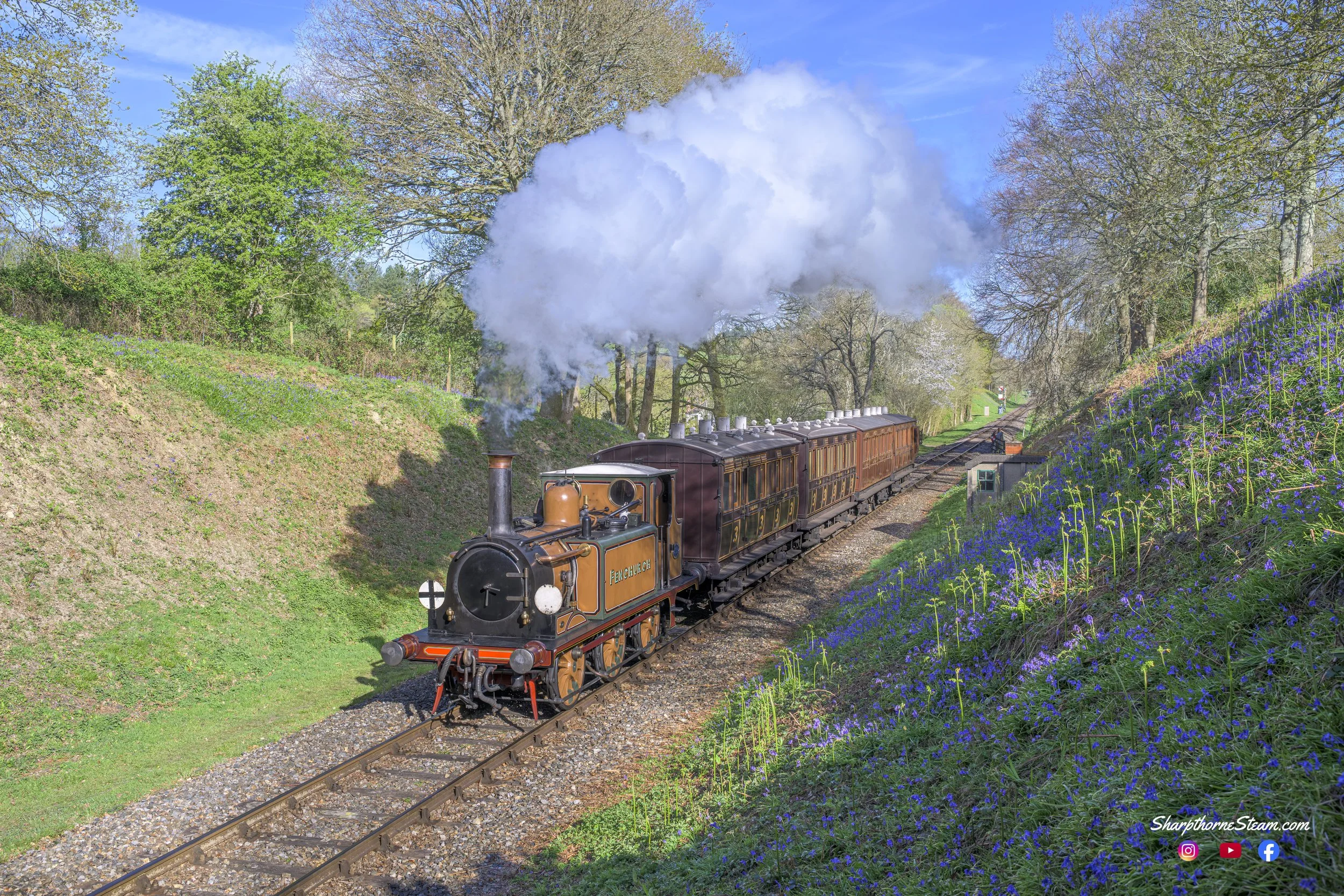 Northern Bluebells - No72 powers through the cutting at Birchstone Bridge with an array of Bluebells on the bank.
