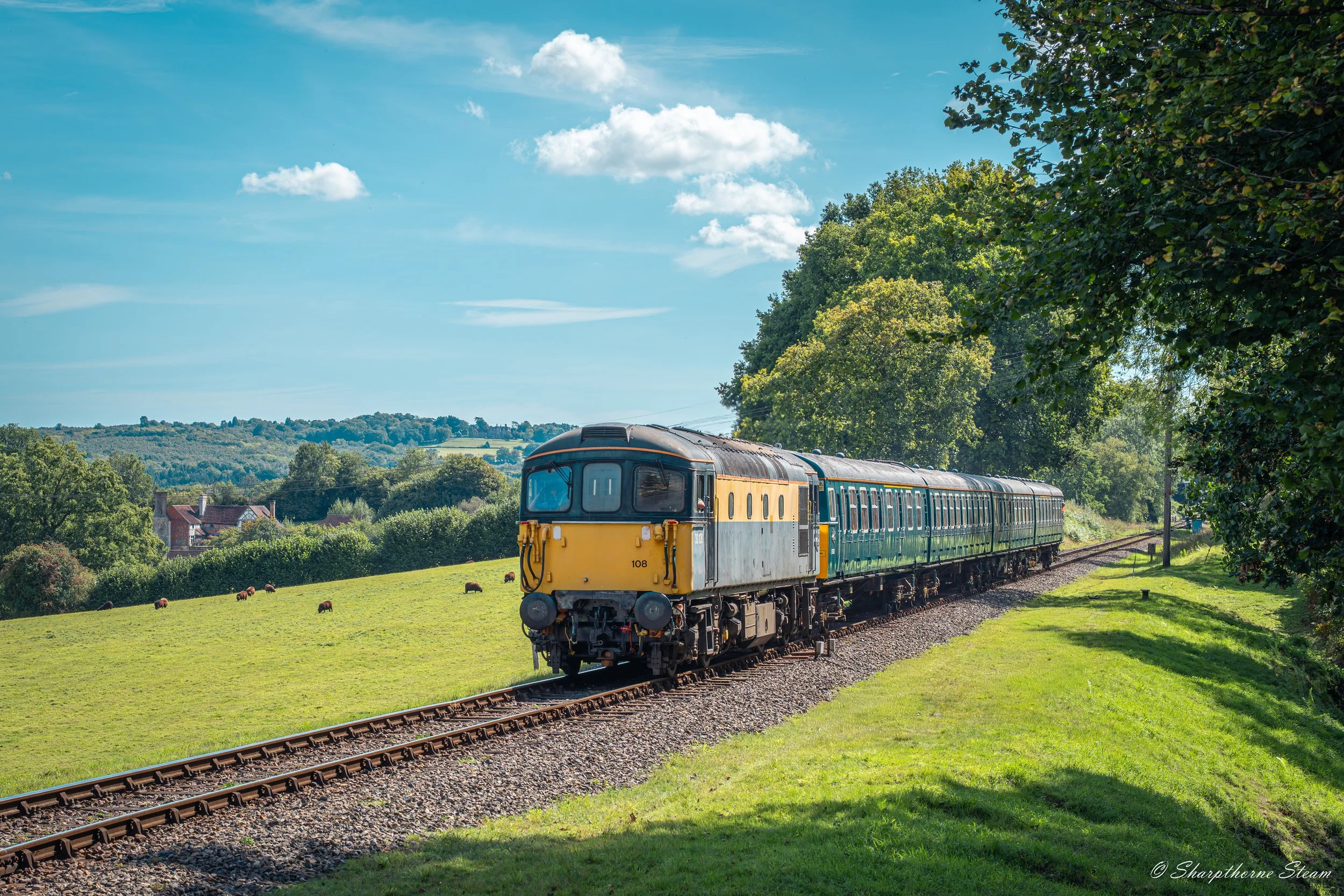 Southern Vista - No33108 coasts in Kingscote with No3417 with the Sussex countryside and sheep bathed in sunshine.