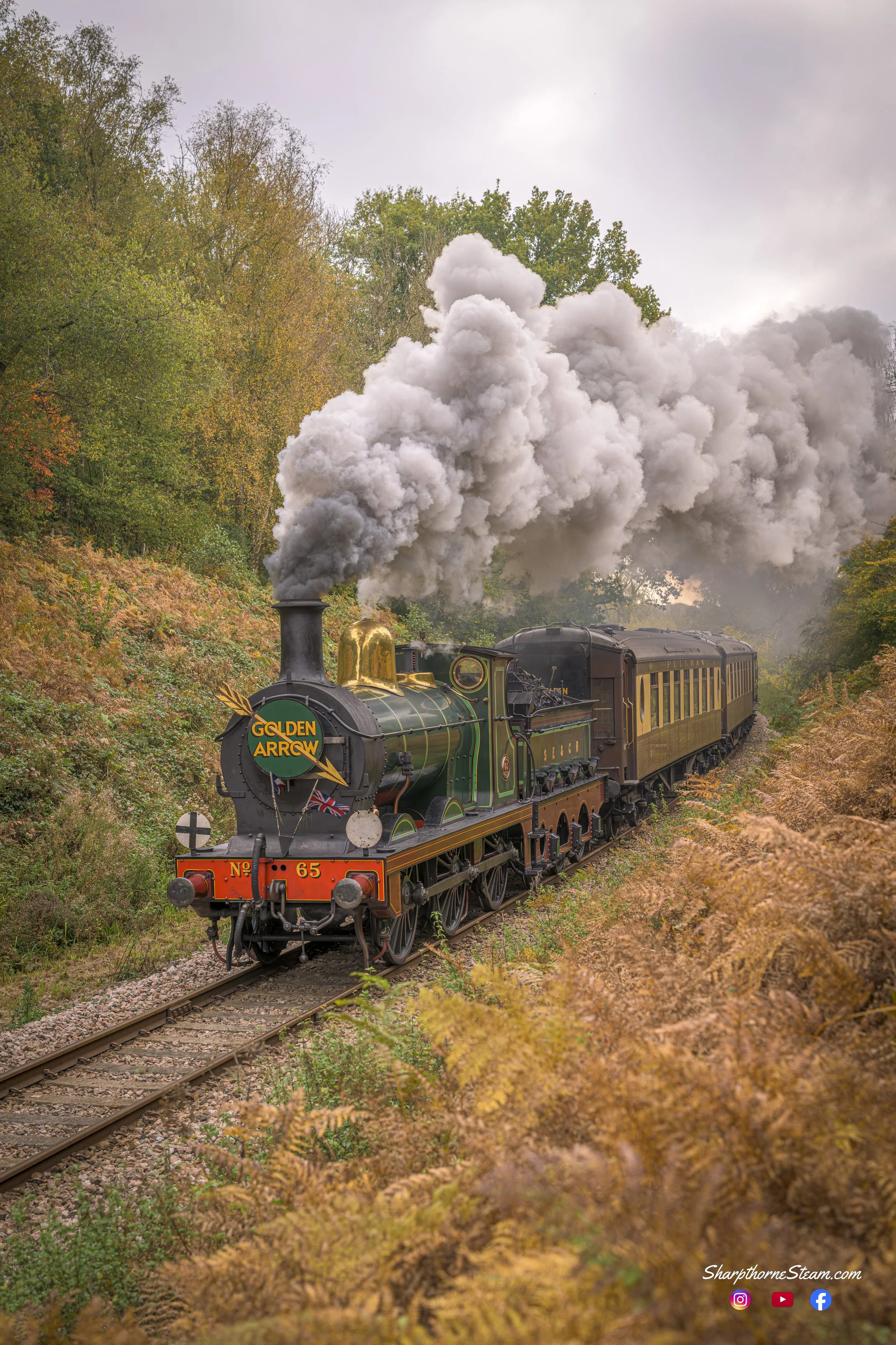 Victorian Pullman - No65 in Pullman regalia is seen at Lindfield Wood (Oct'25) 
