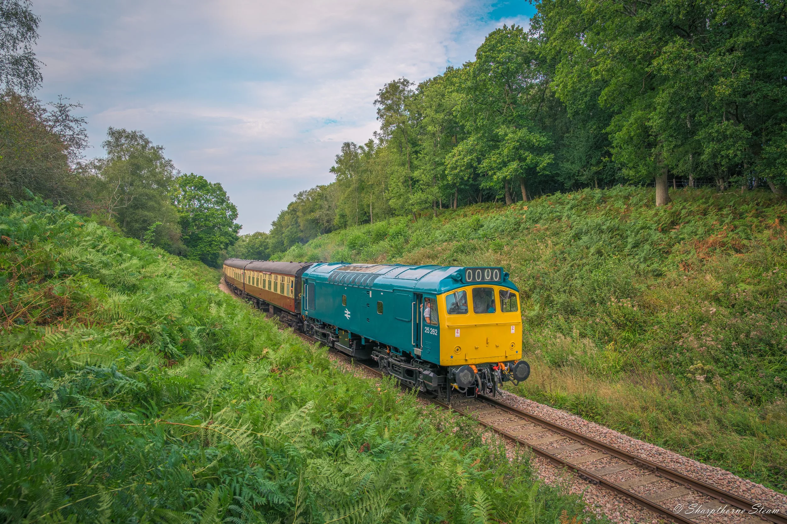 A Rat Amongst the Ferns - No25262 snakes her way through Lindfield Forest as she returns south on her last Set B run of the Sunday.