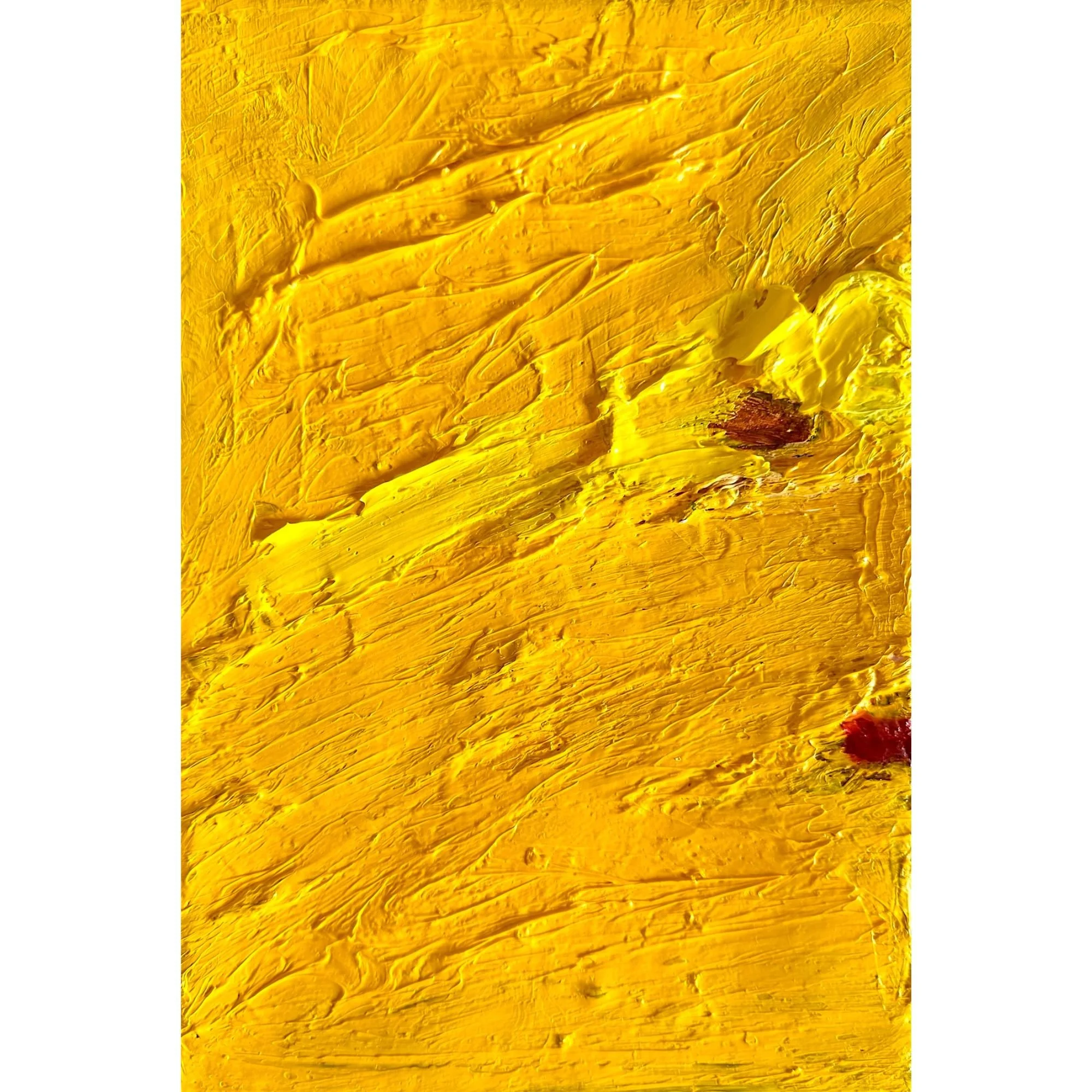 Little Yellow | 2016-2026, oil on canvas | 25 x 17 cm