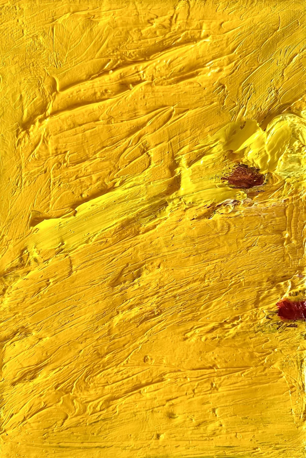 Little Yellow. 2016-2026, oil on canvas, 25 x 17 cm.jpg