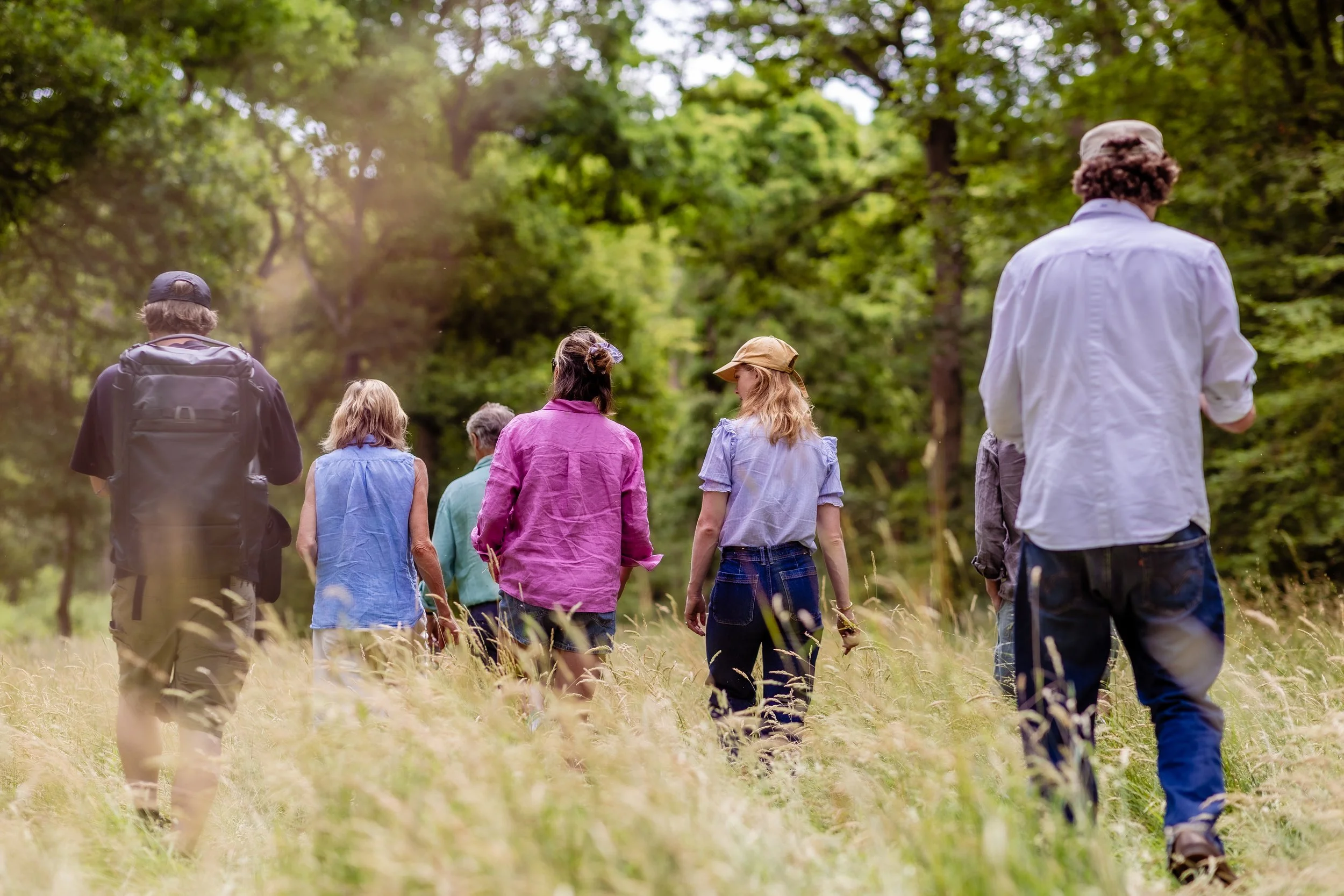 Group of people walking through a forested area during daytime.