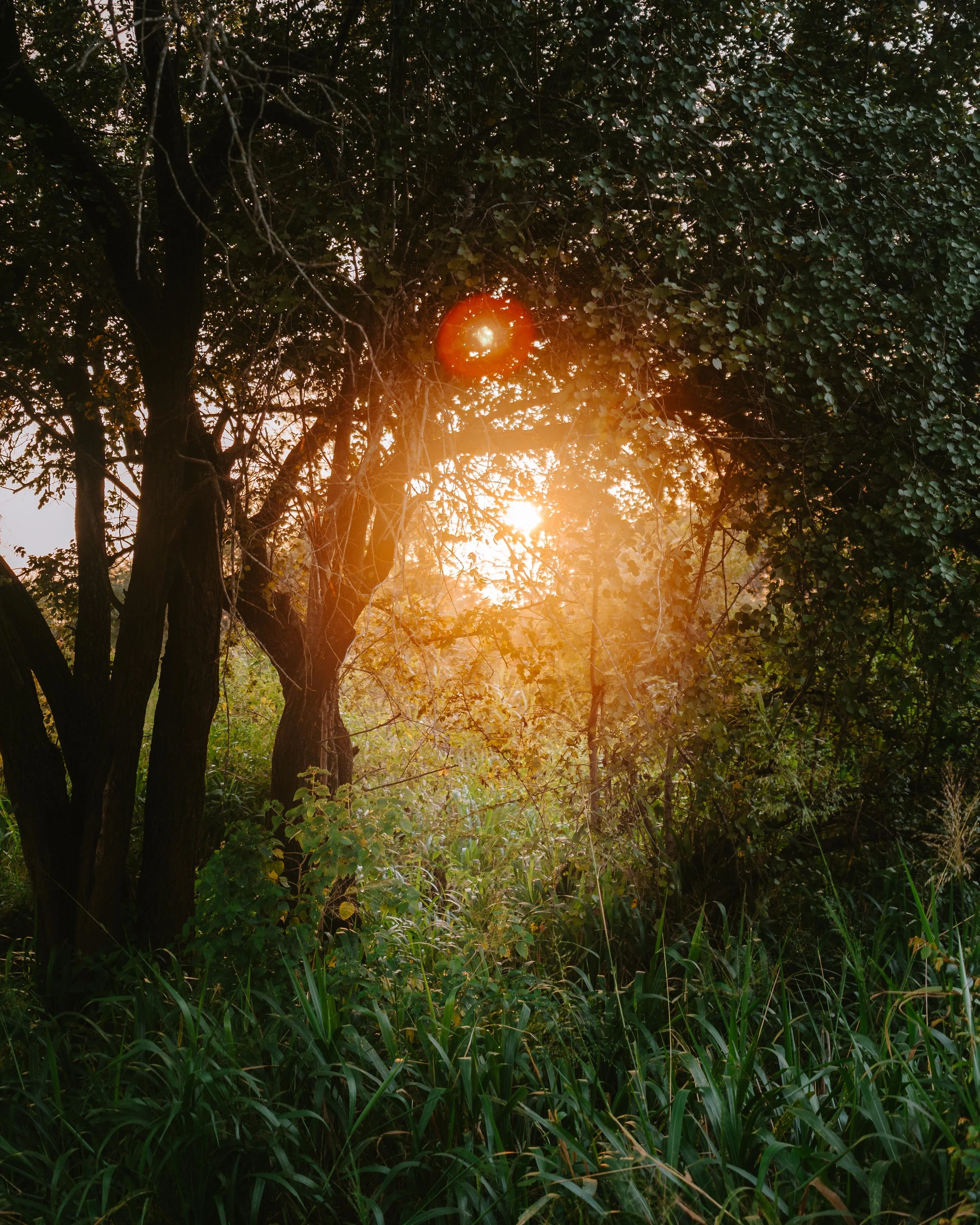 4x5_Sri_Lanka-76.jpg