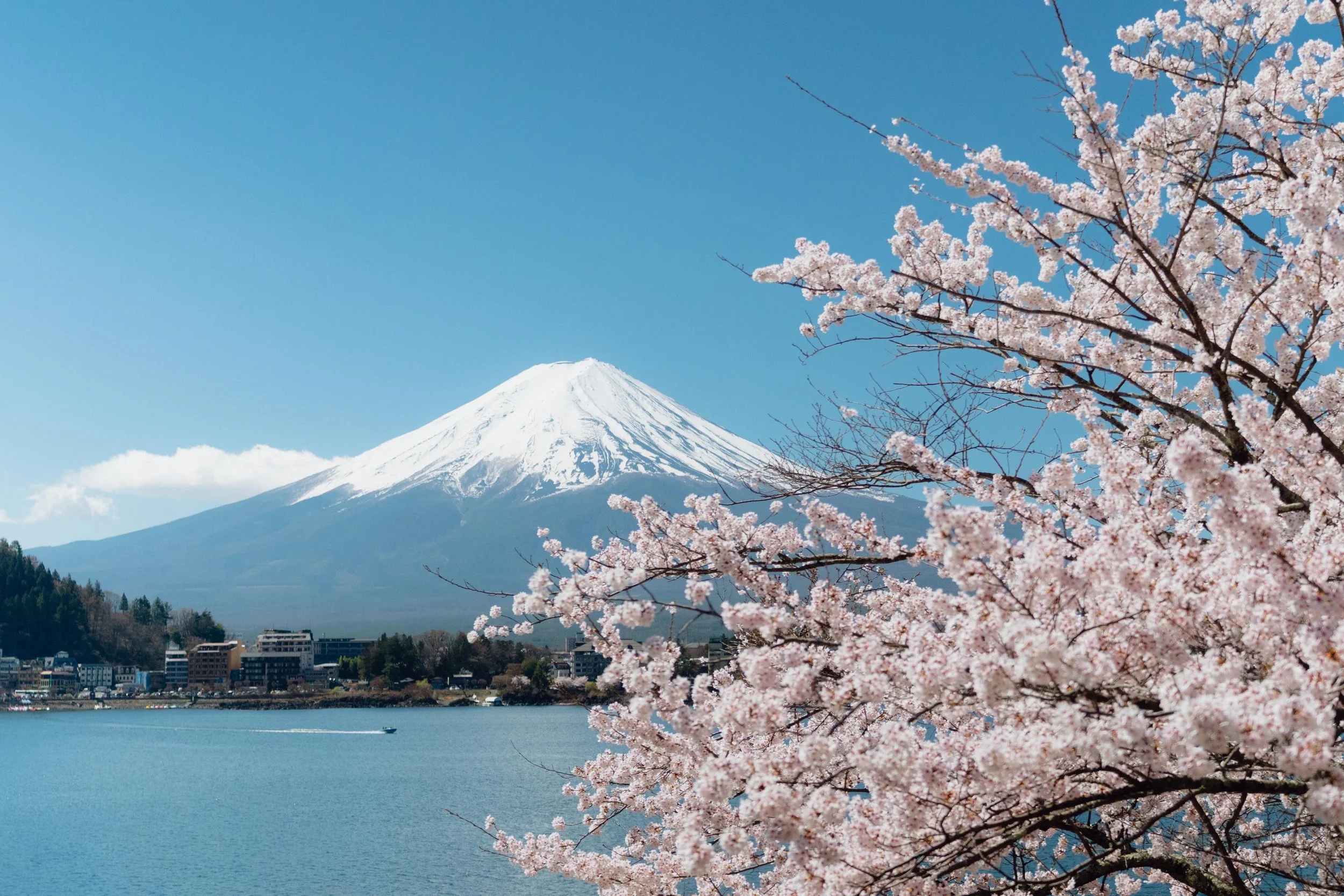 3x2_Japan-23.jpg