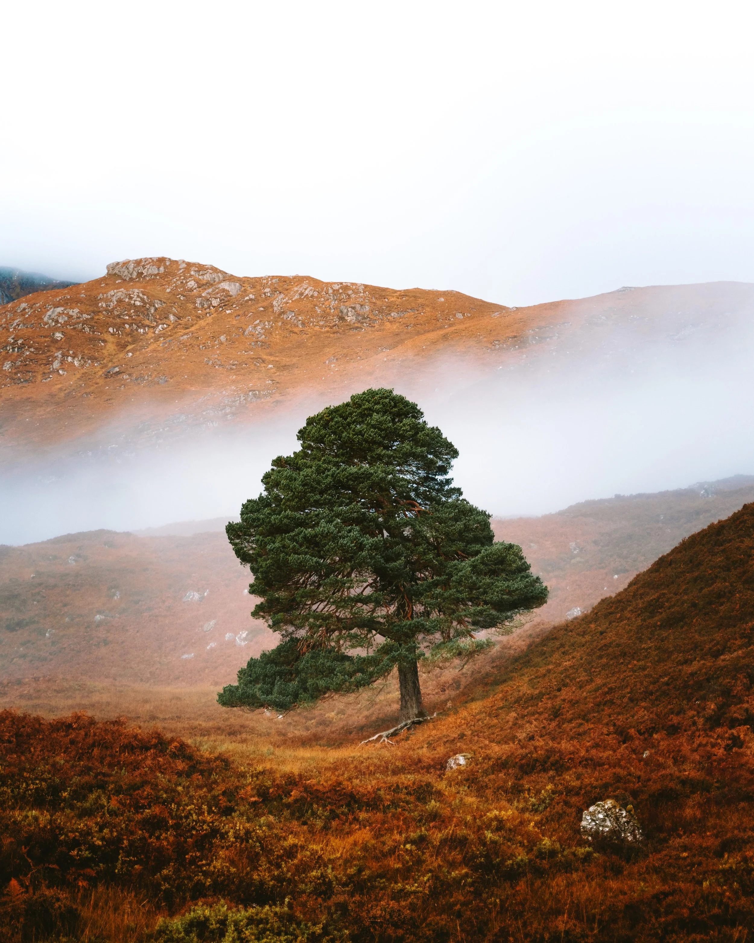 Scotland_Day4-04.jpg
