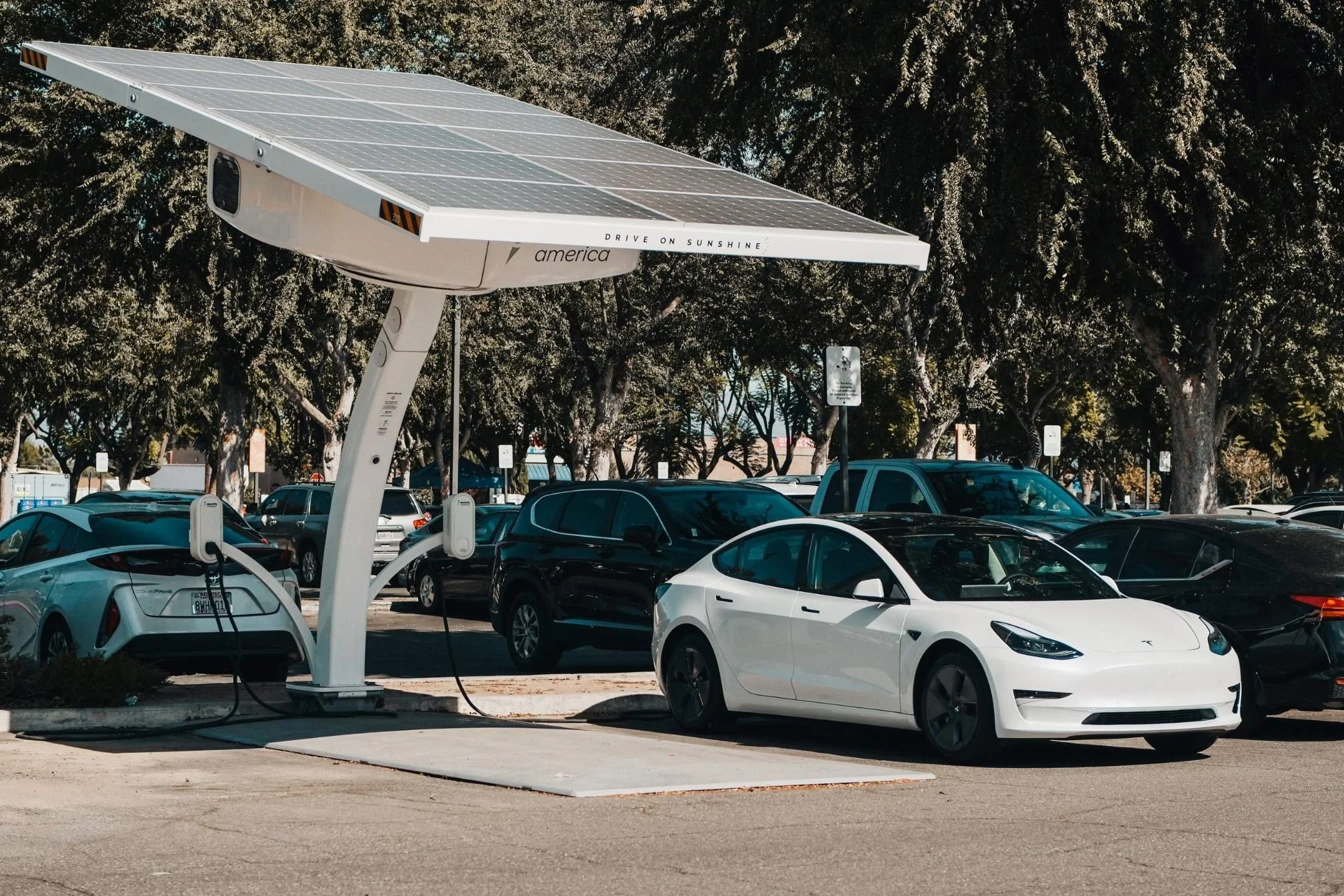 perspectives tesla