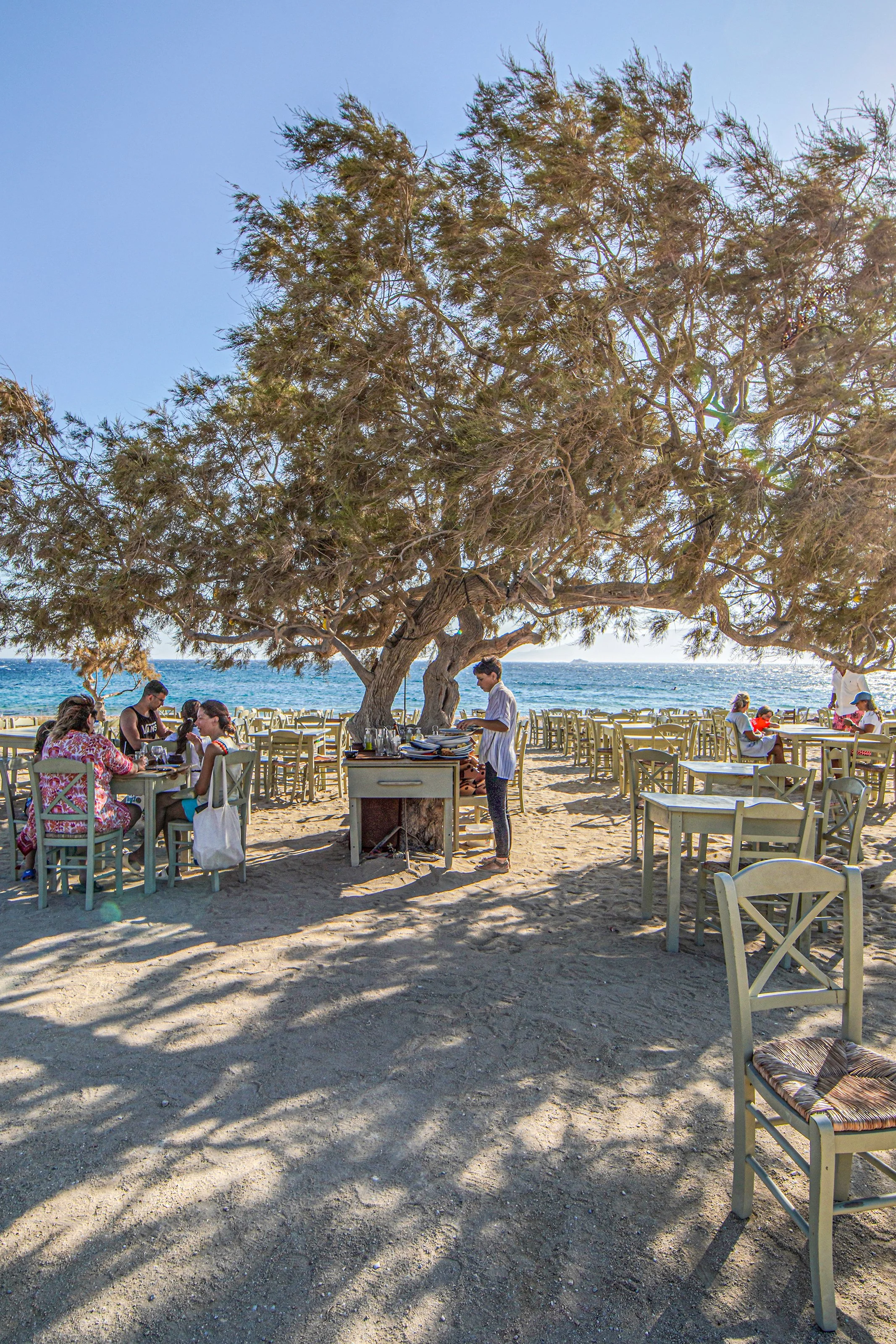 QSS08556 copy_Vertical.jpg