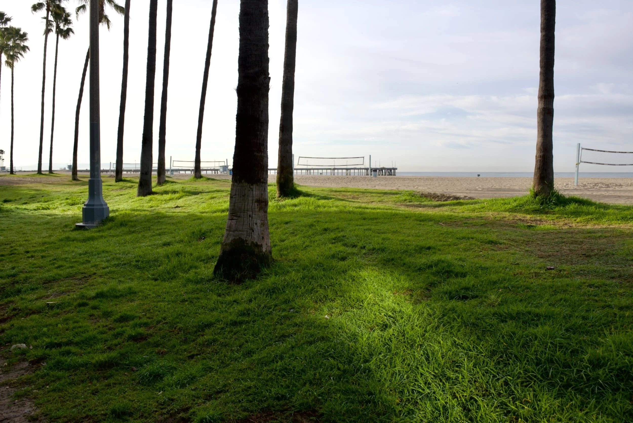 Venice Beach, 2026. © Christian Martin Colmer