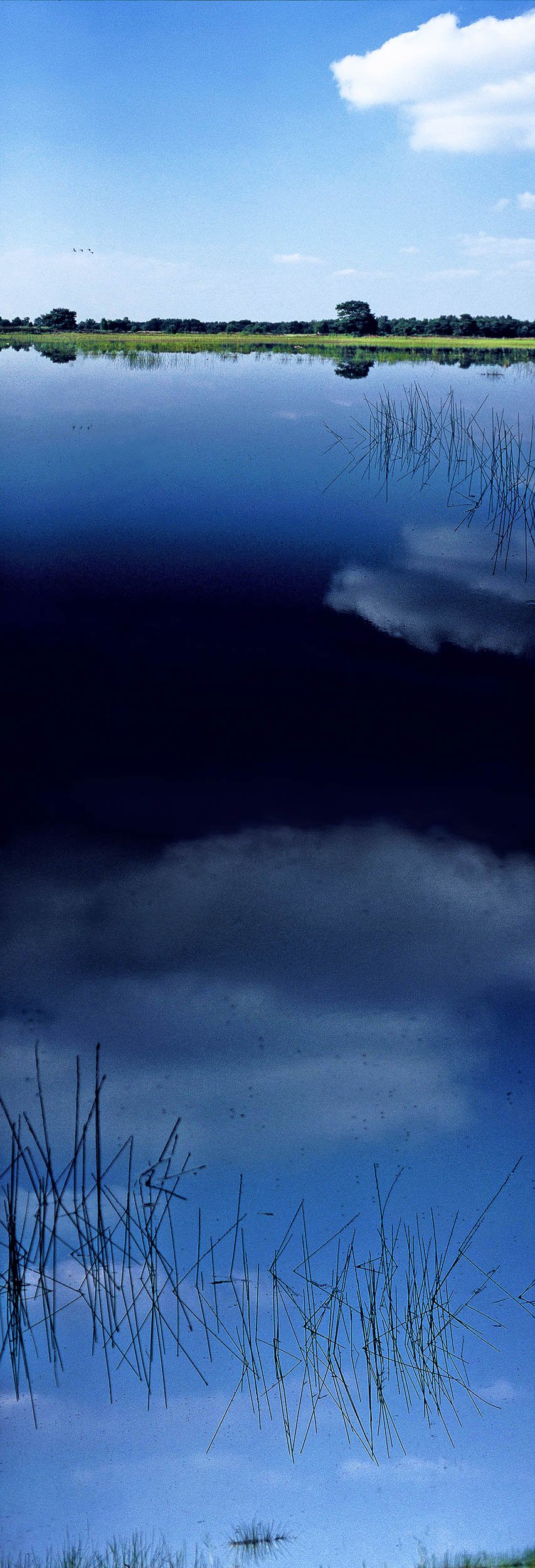Lakeland, 2007-2009. © Christian Martin Colmer