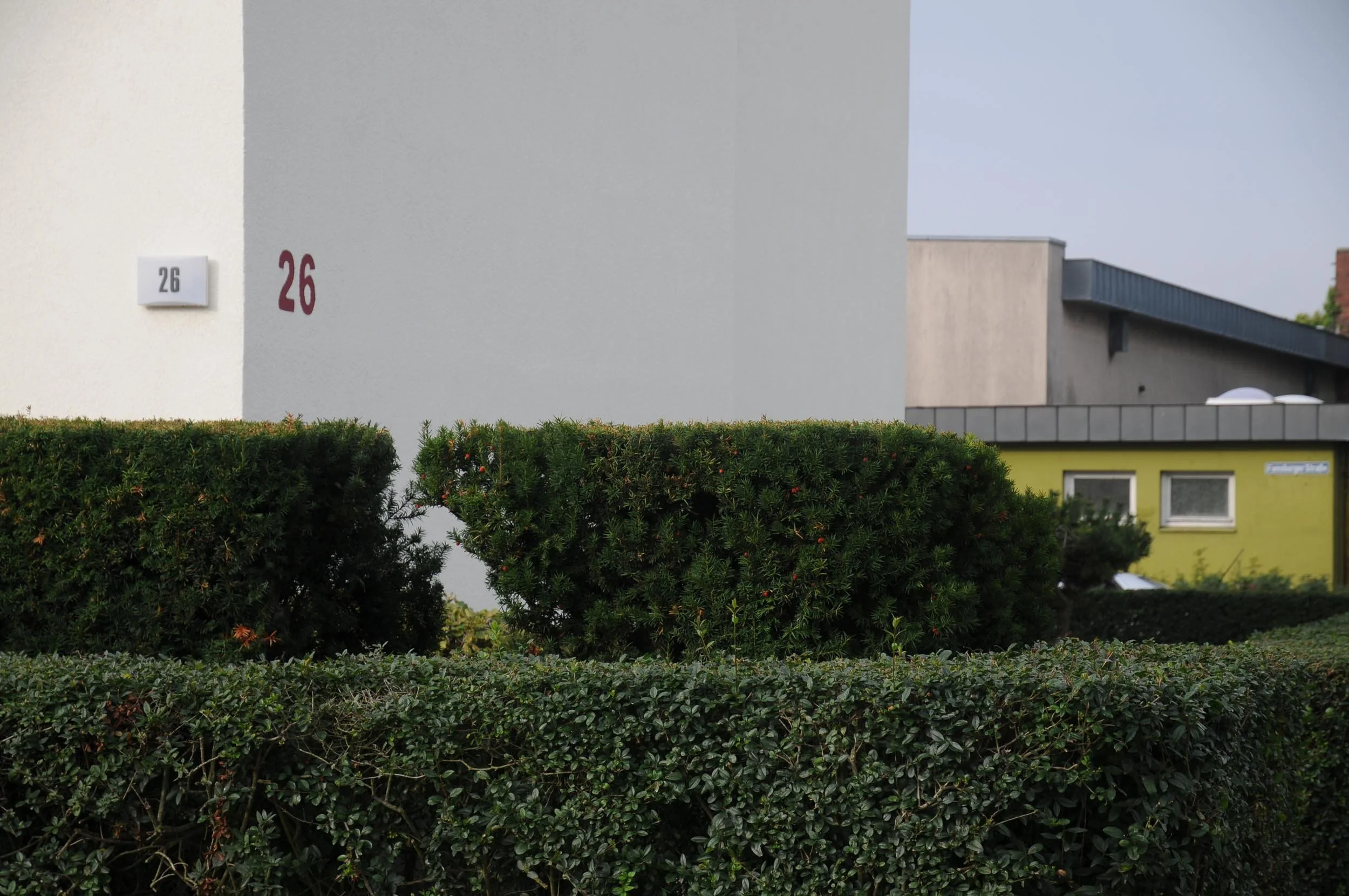 26, 2018. © Christian Martin Colmer