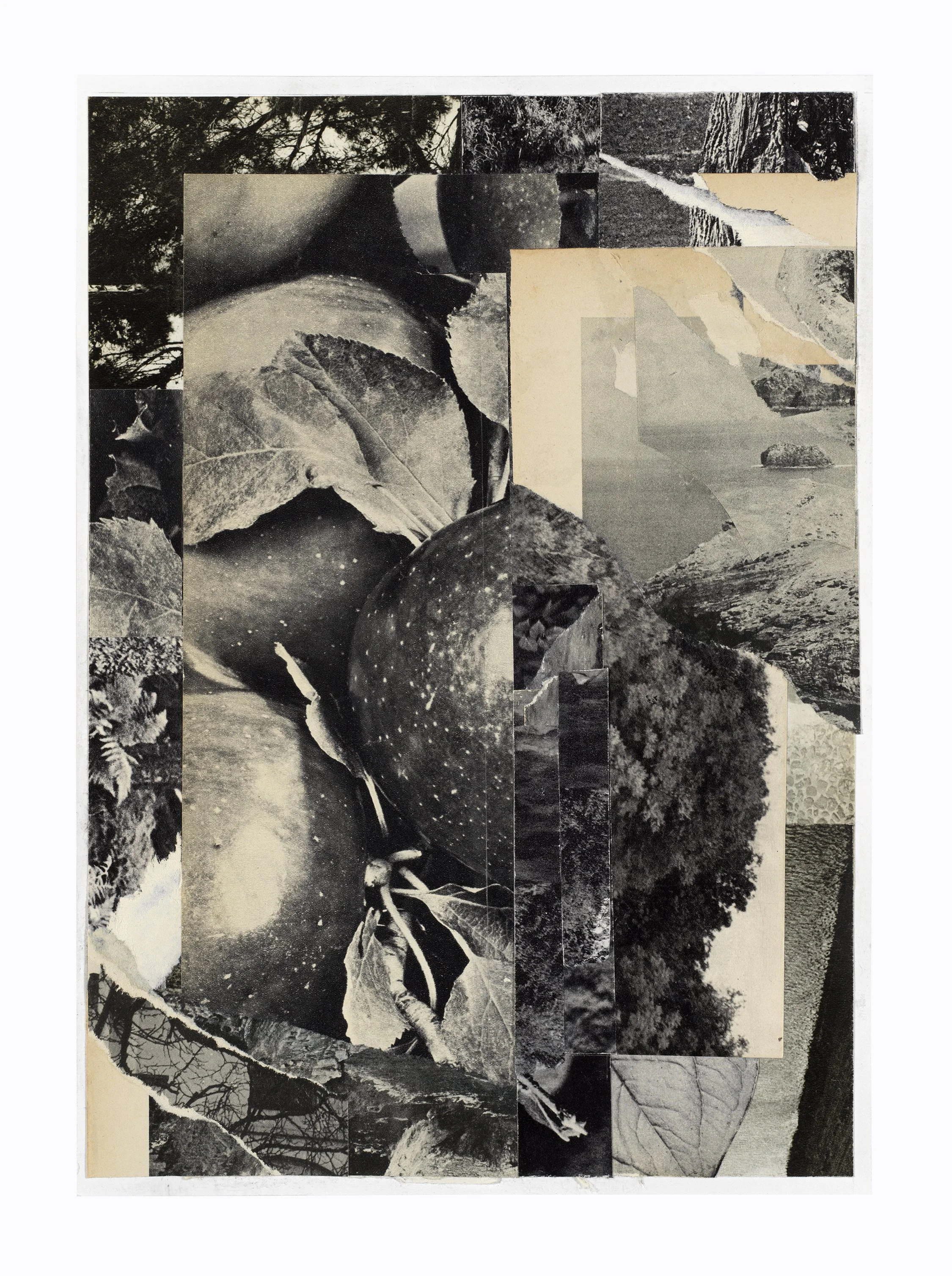 Untitled 15
