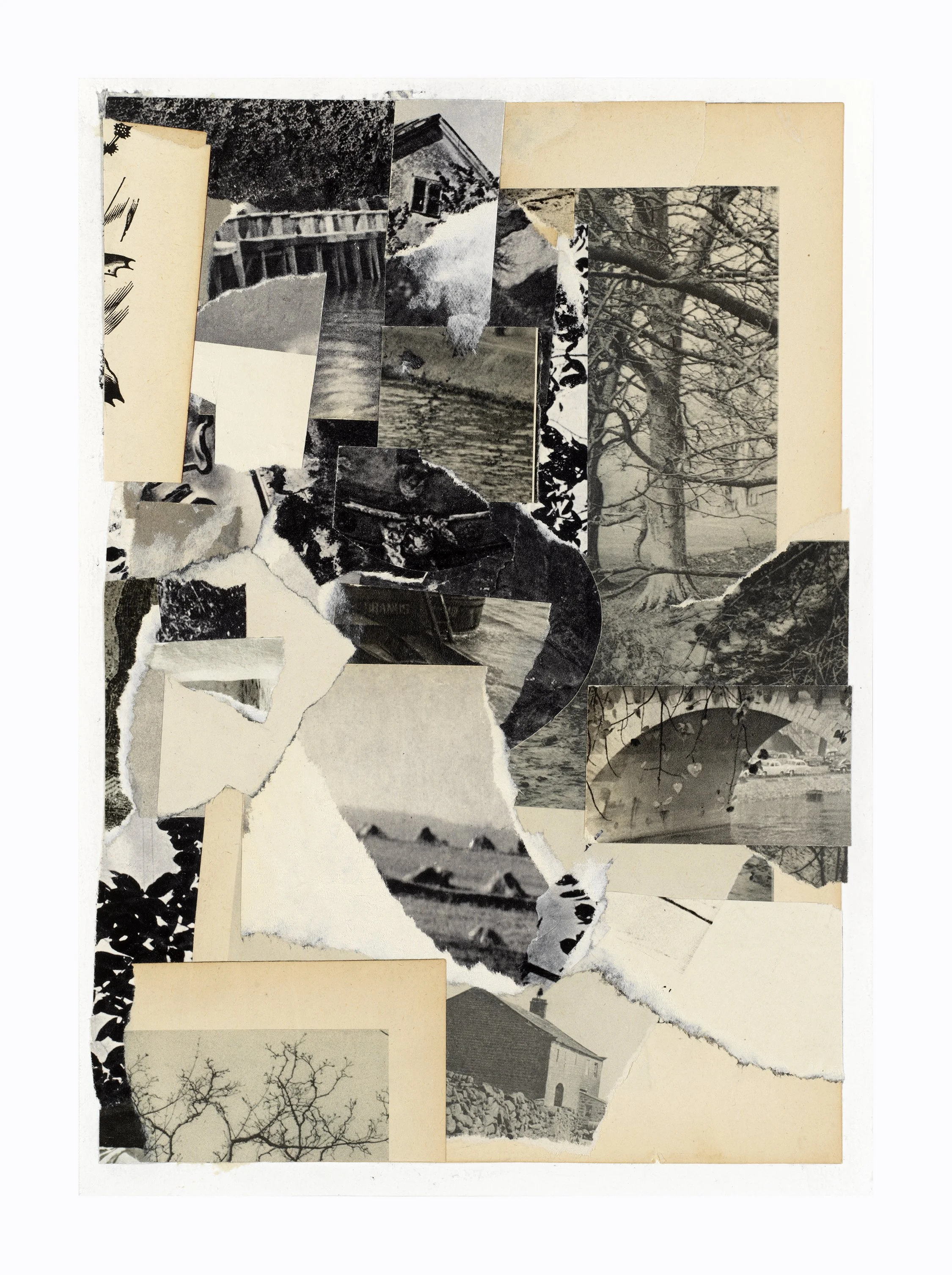 Untitled 19