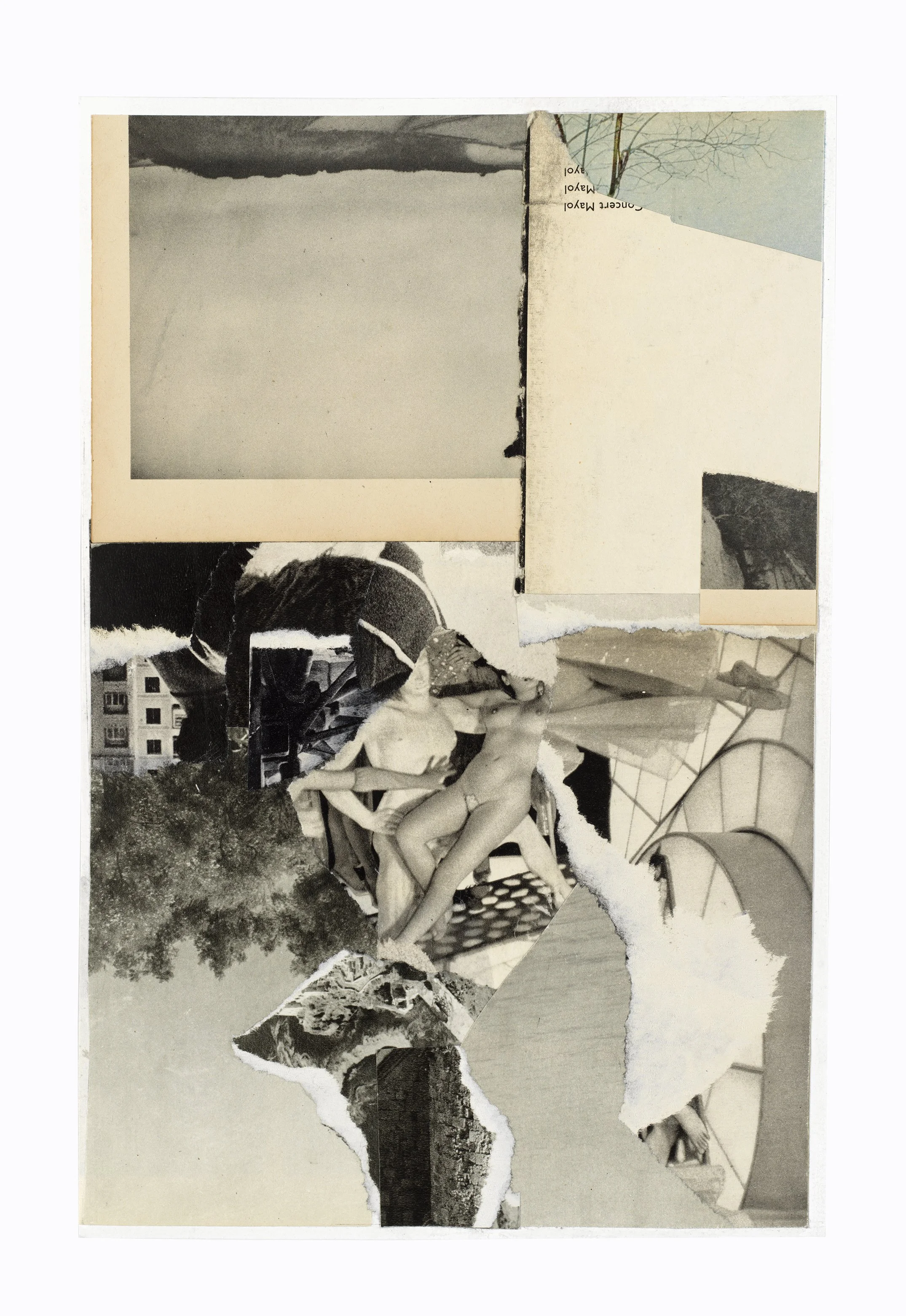 Untitled 6