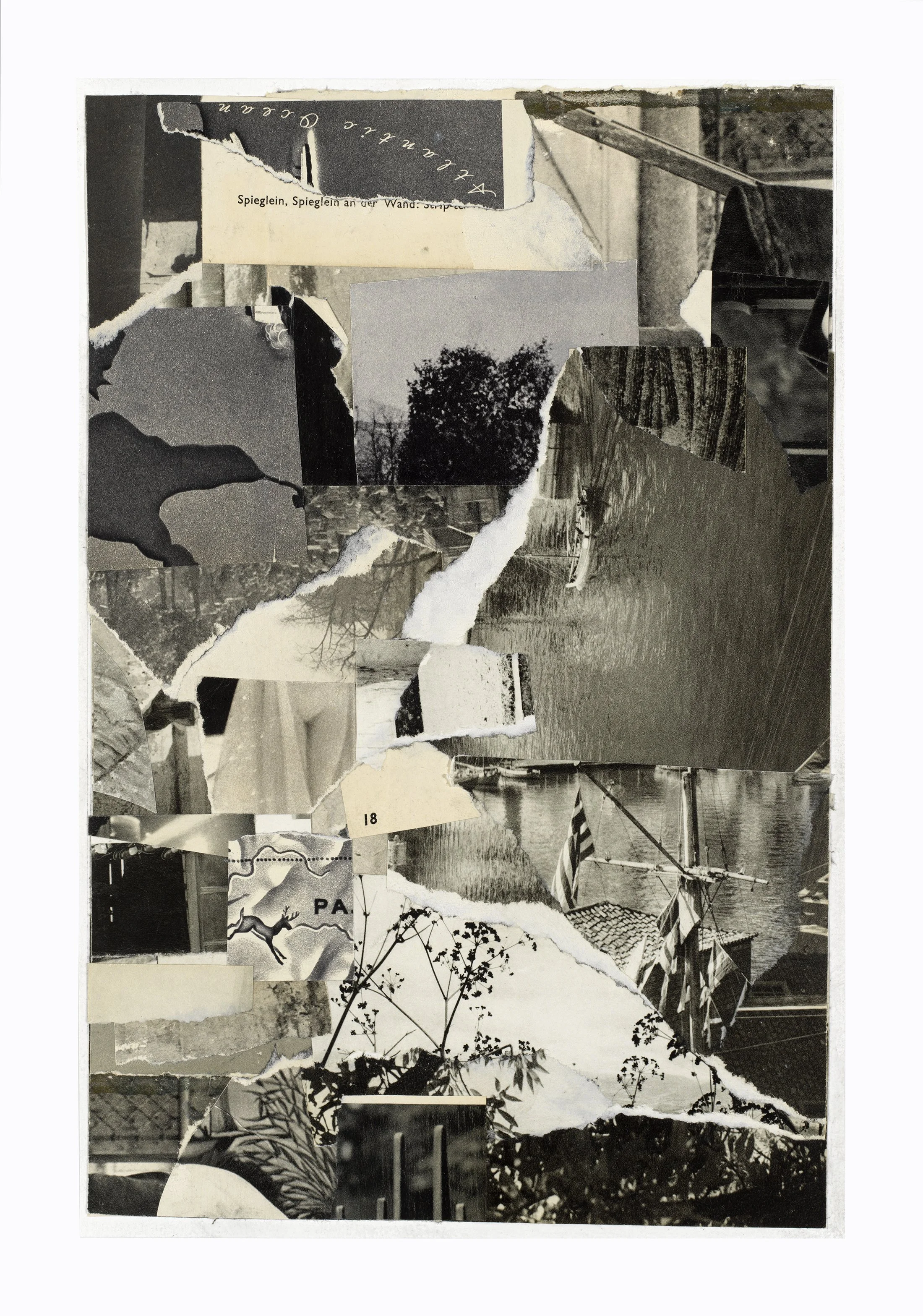Untitled 7
