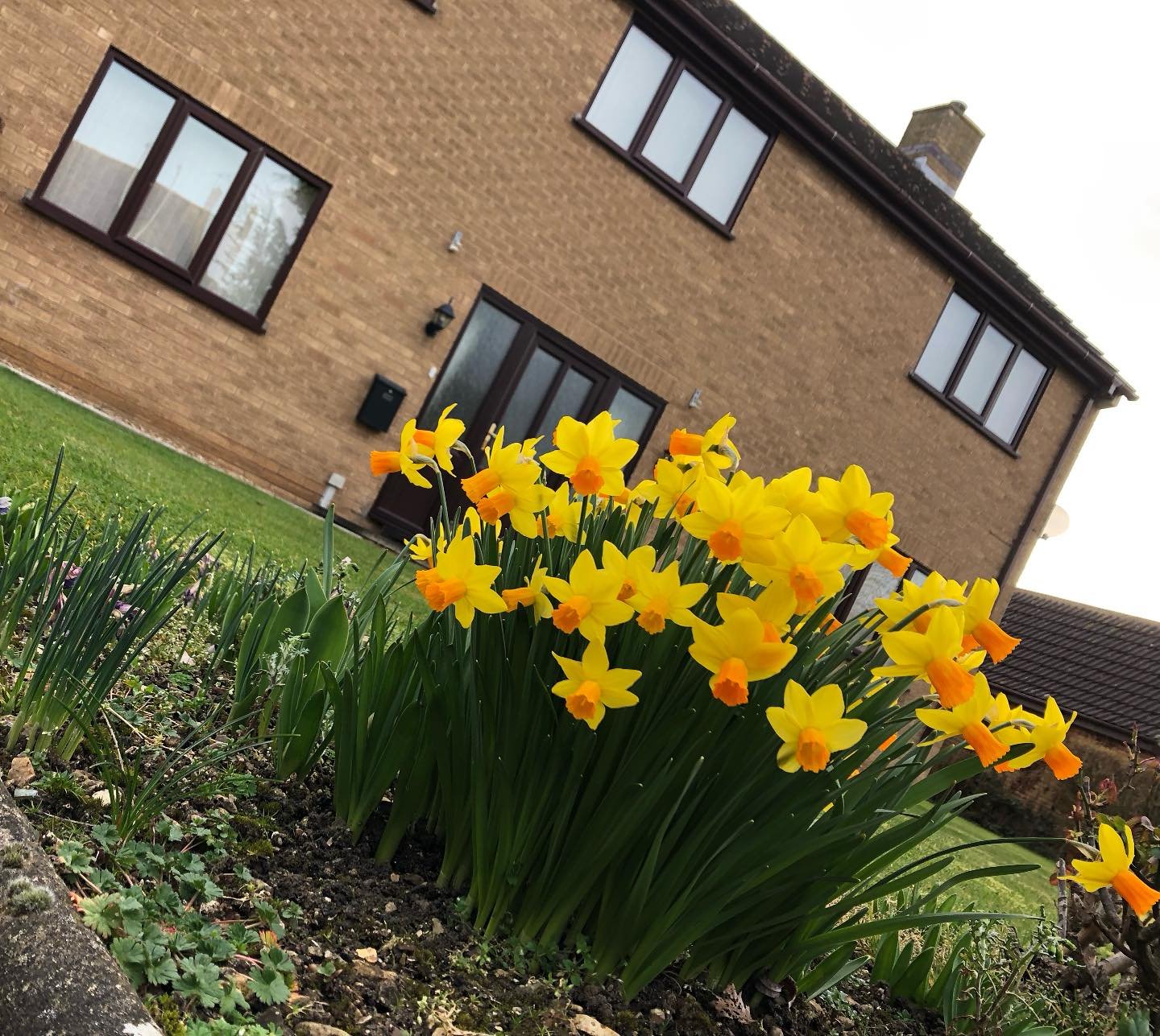 🌼 Spring is in the air, and just like these beautiful daffodils, new investment opportunities are starting to bloom!

Whether you&rsquo;re looking at securing a bridging loan, financing a commercial property, or planning a development, #BurghleyFS i