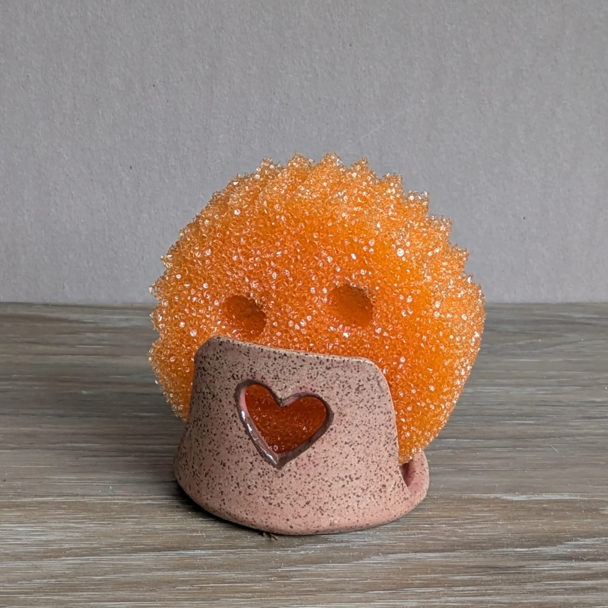 Sponge Holder
