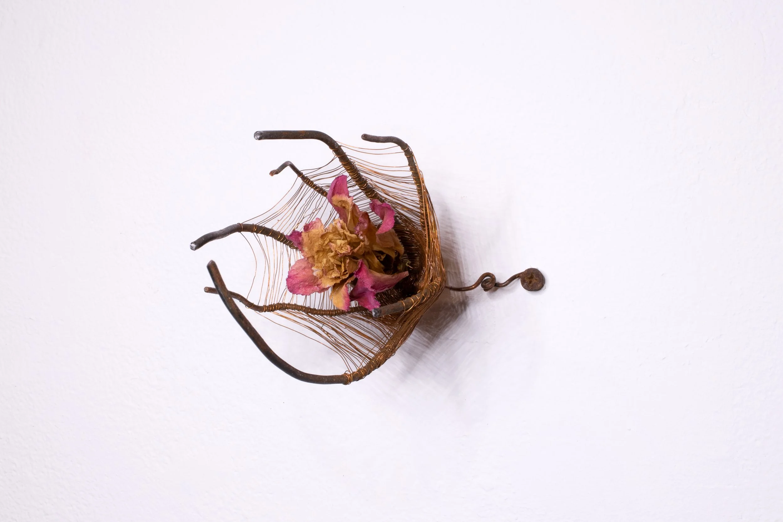 Caged Blossom-2.jpg
