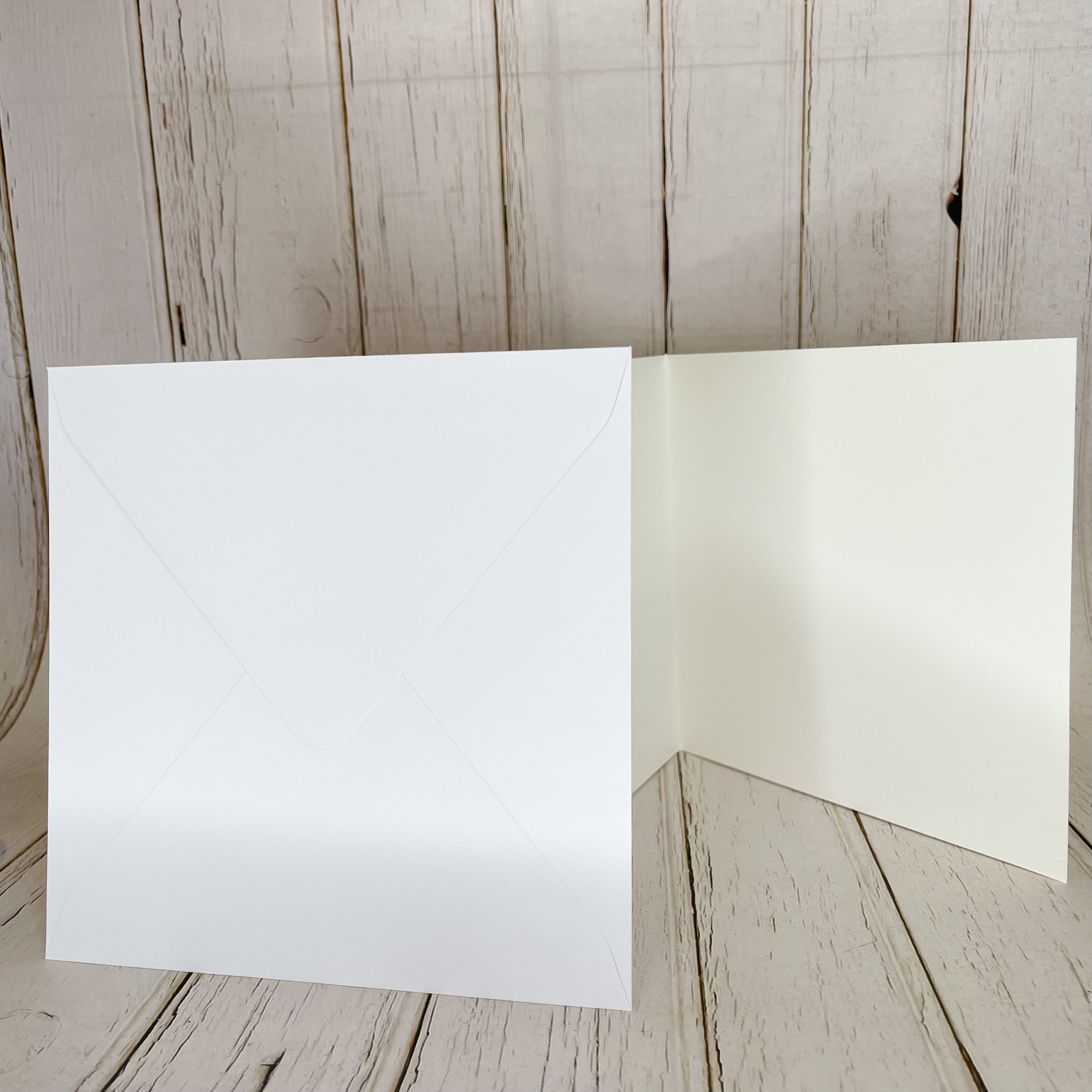 inside-image-of-card-blank-envelope_jpg.jpg