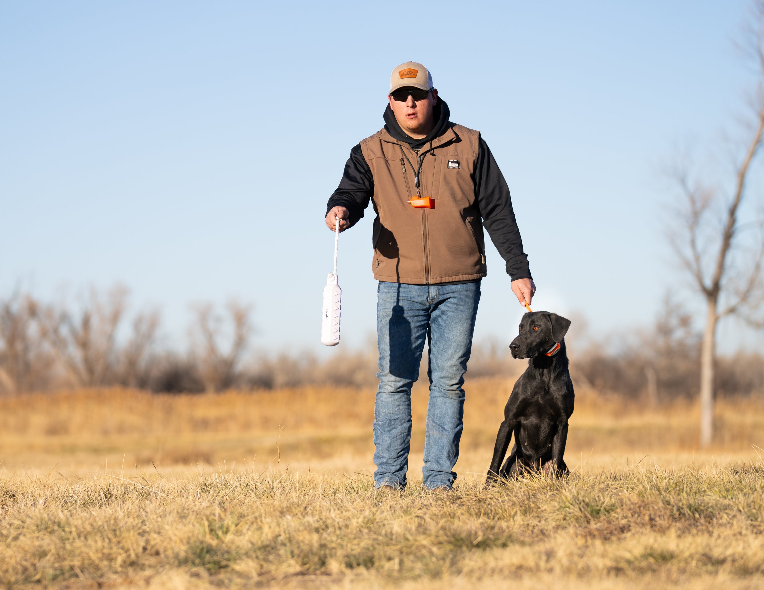 Man training a black Labrador in a field with a white training dummy.