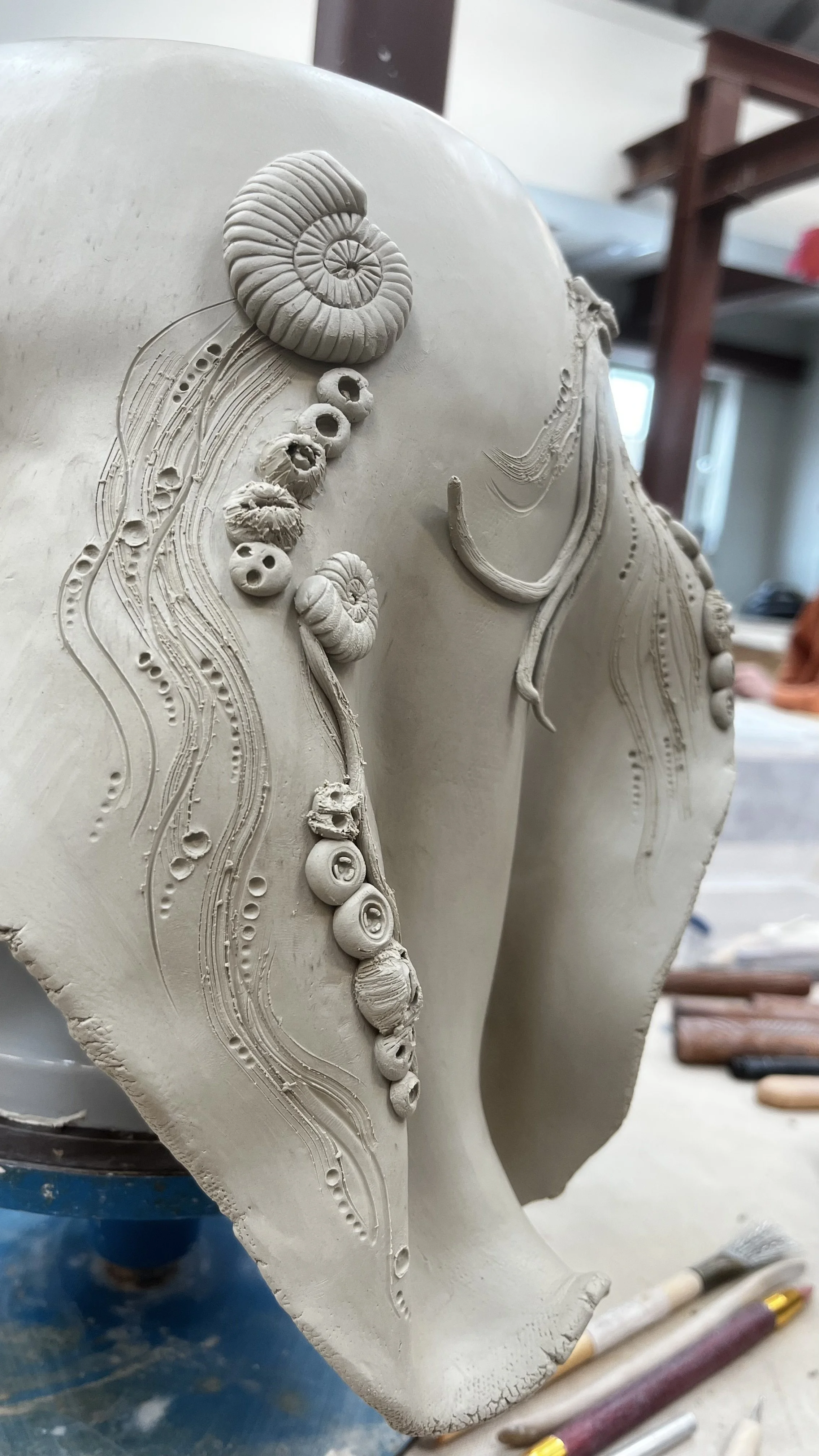 Sunday 14:30 - 16:00 Tidal Pool — Clay Scotland