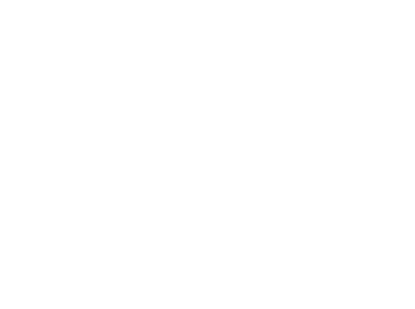Somerset - Friends of the Shelter