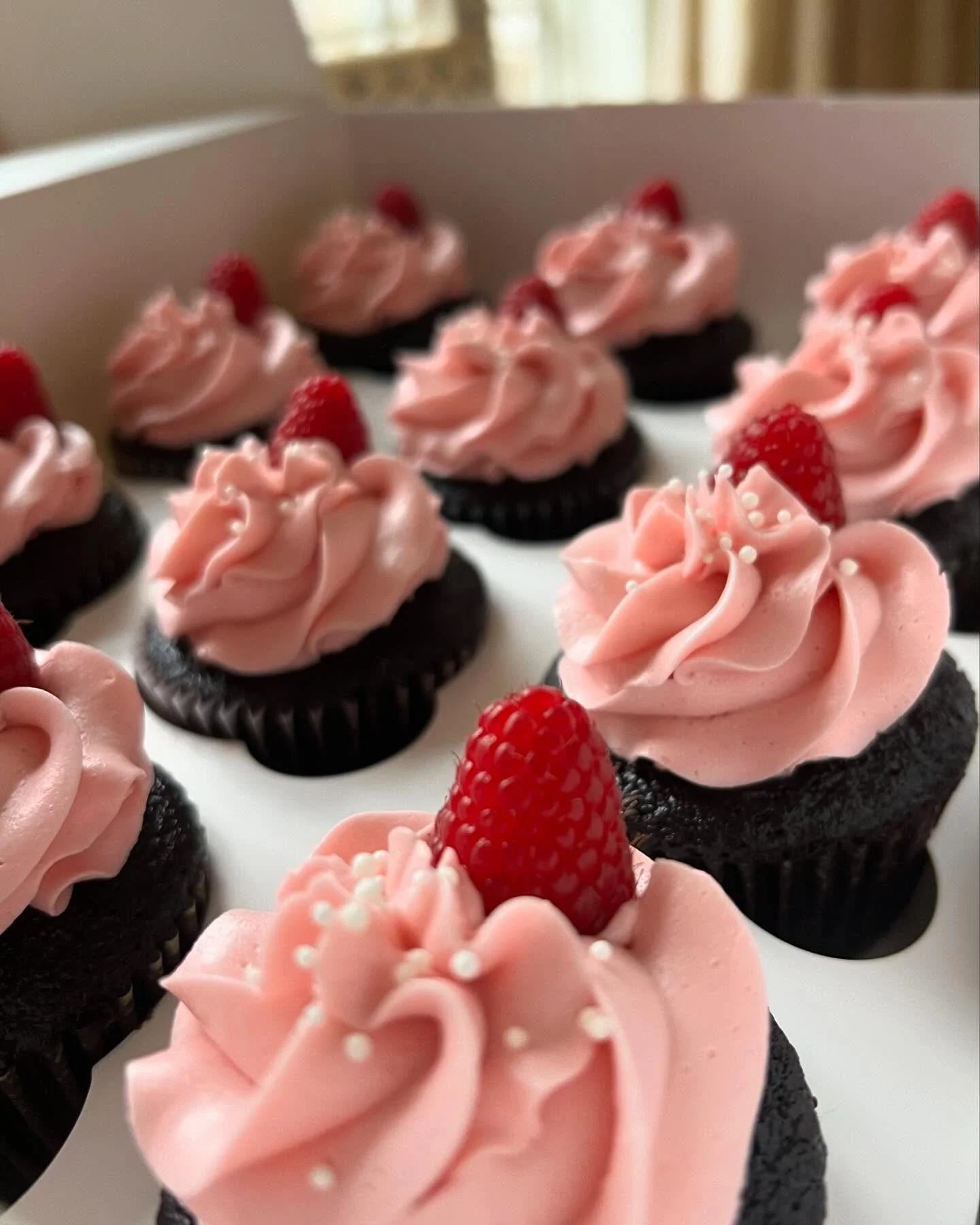 Mastering the art of finding the best raspberries in the box

 #chocolateraspberry #charlottebaking #studententrepreneurship #providenceday #studentbakers #bakingbusiness