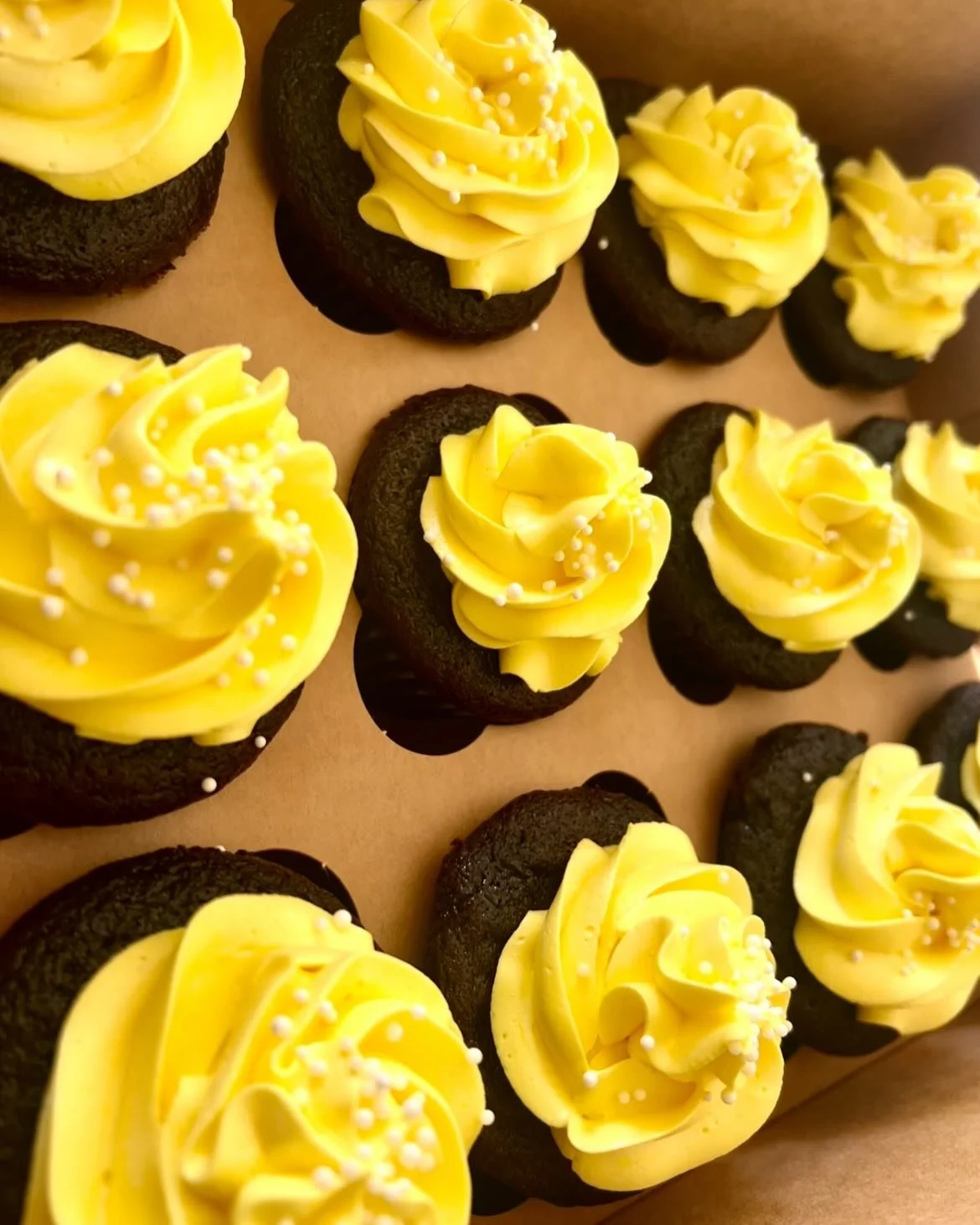 Limited edition&mdash;spring cupcakes 🤫

#charlottebusiness #northcarolinabaking #charlottebaking #studententrepreneur #providenceday #charlottestartup #highschoolstartup