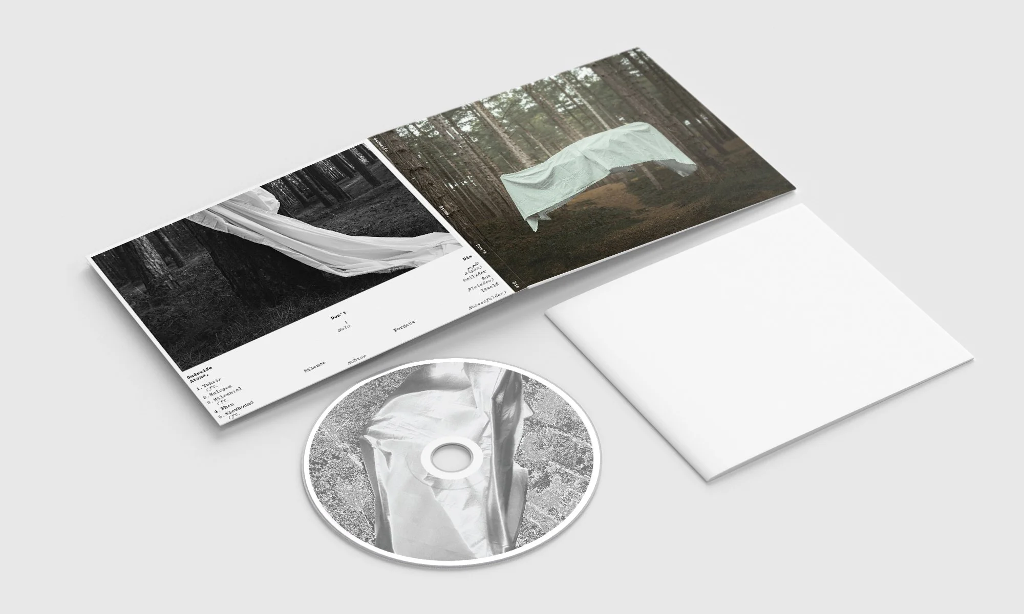 Digipack_Mockup_4.jpg
