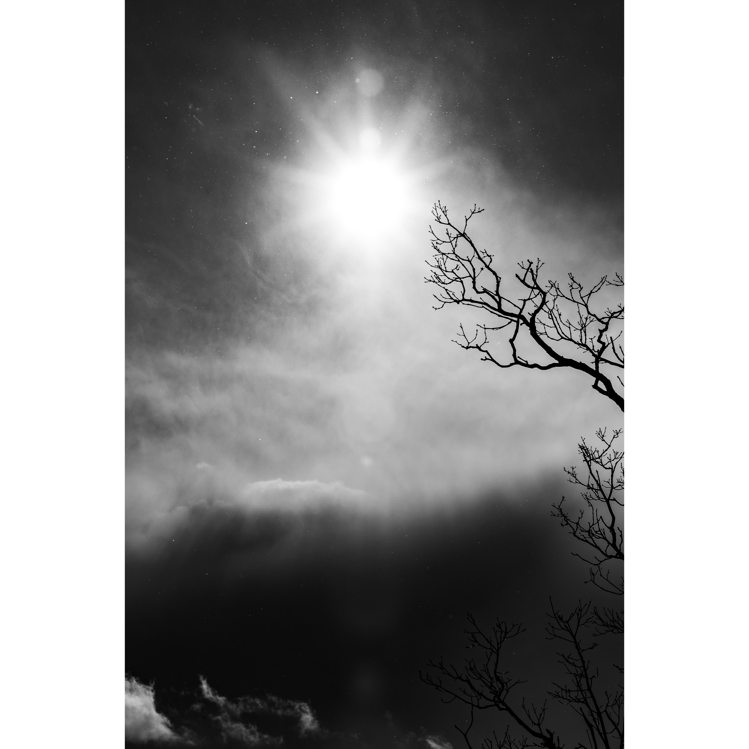 Sun LIV
