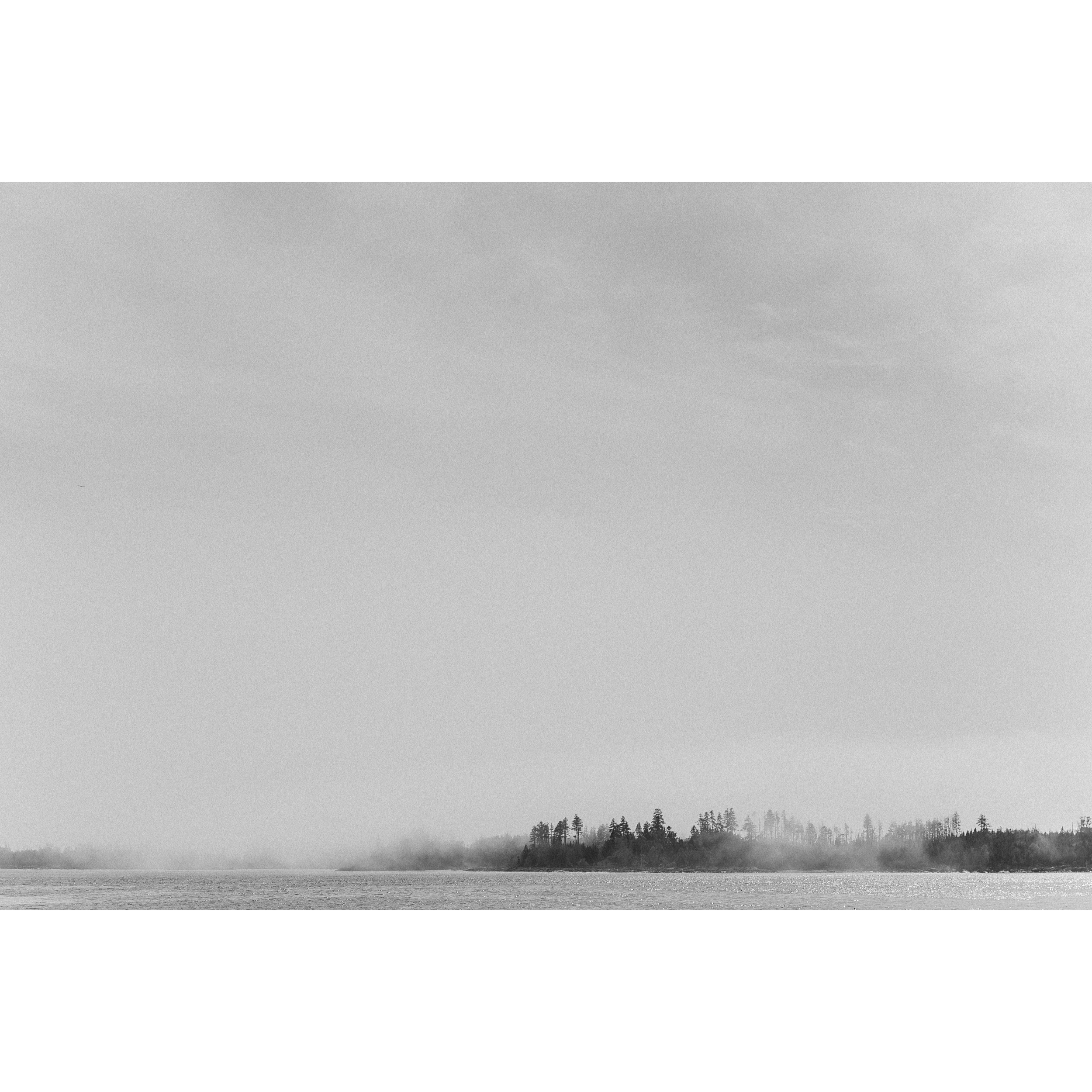 Maine Fog I