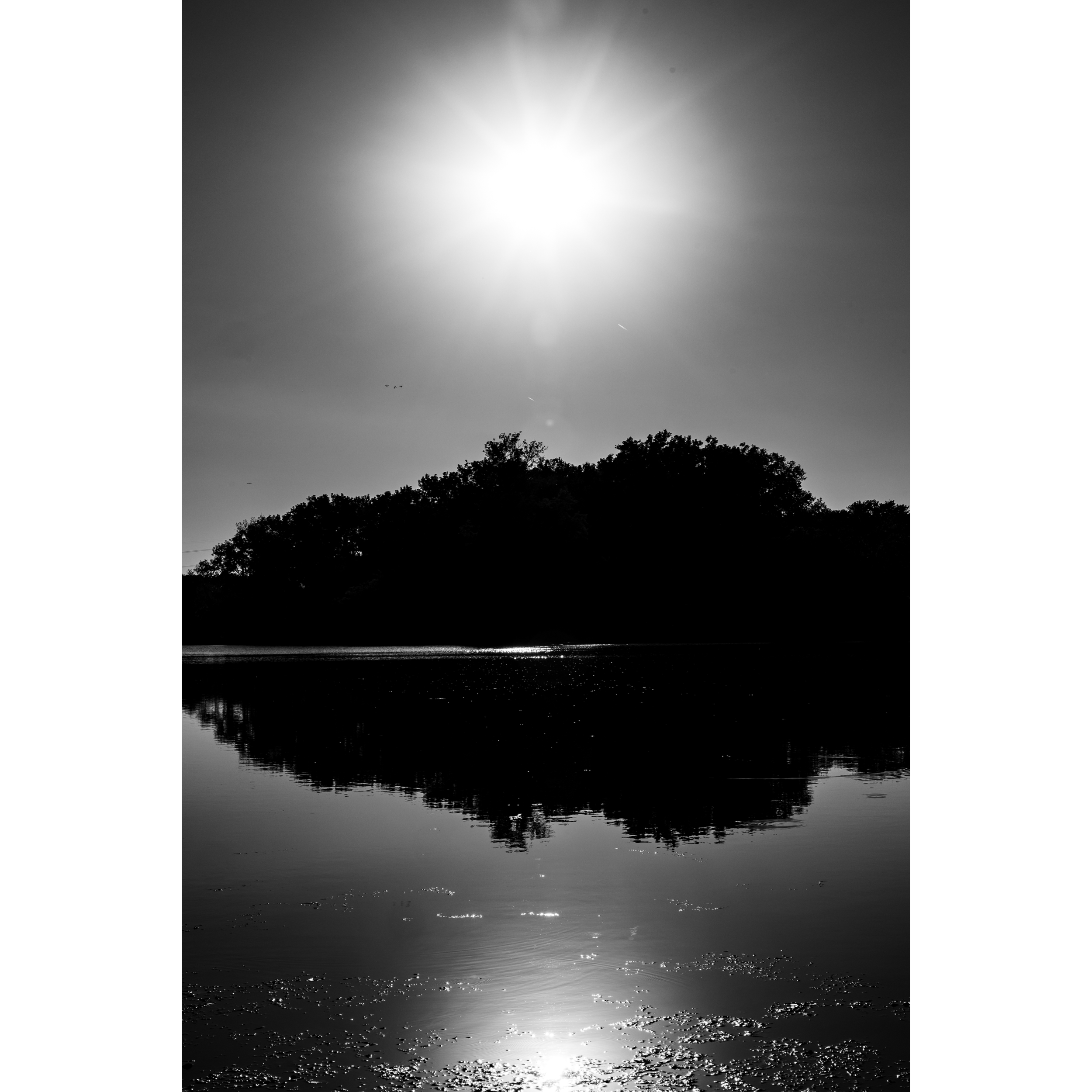 Sun LII