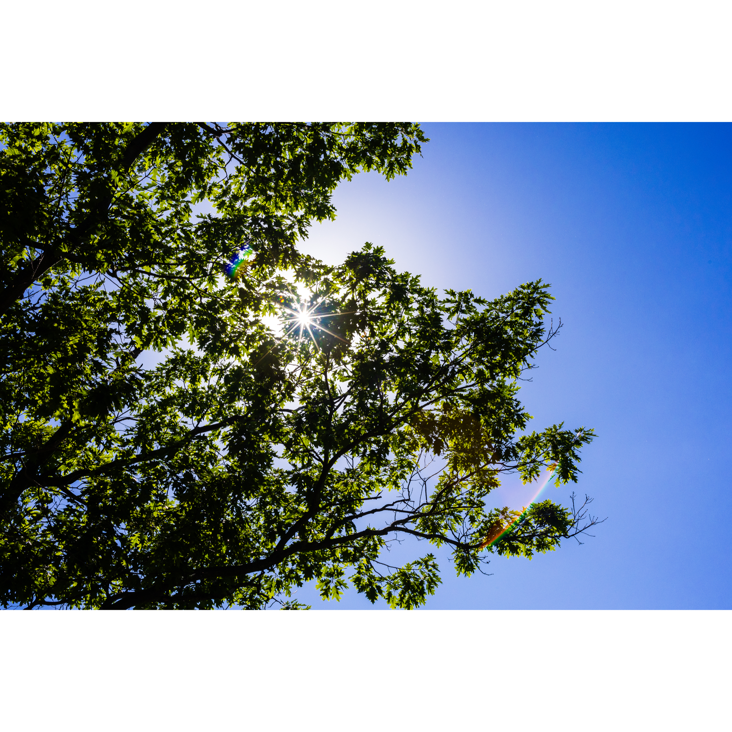 Sun VI