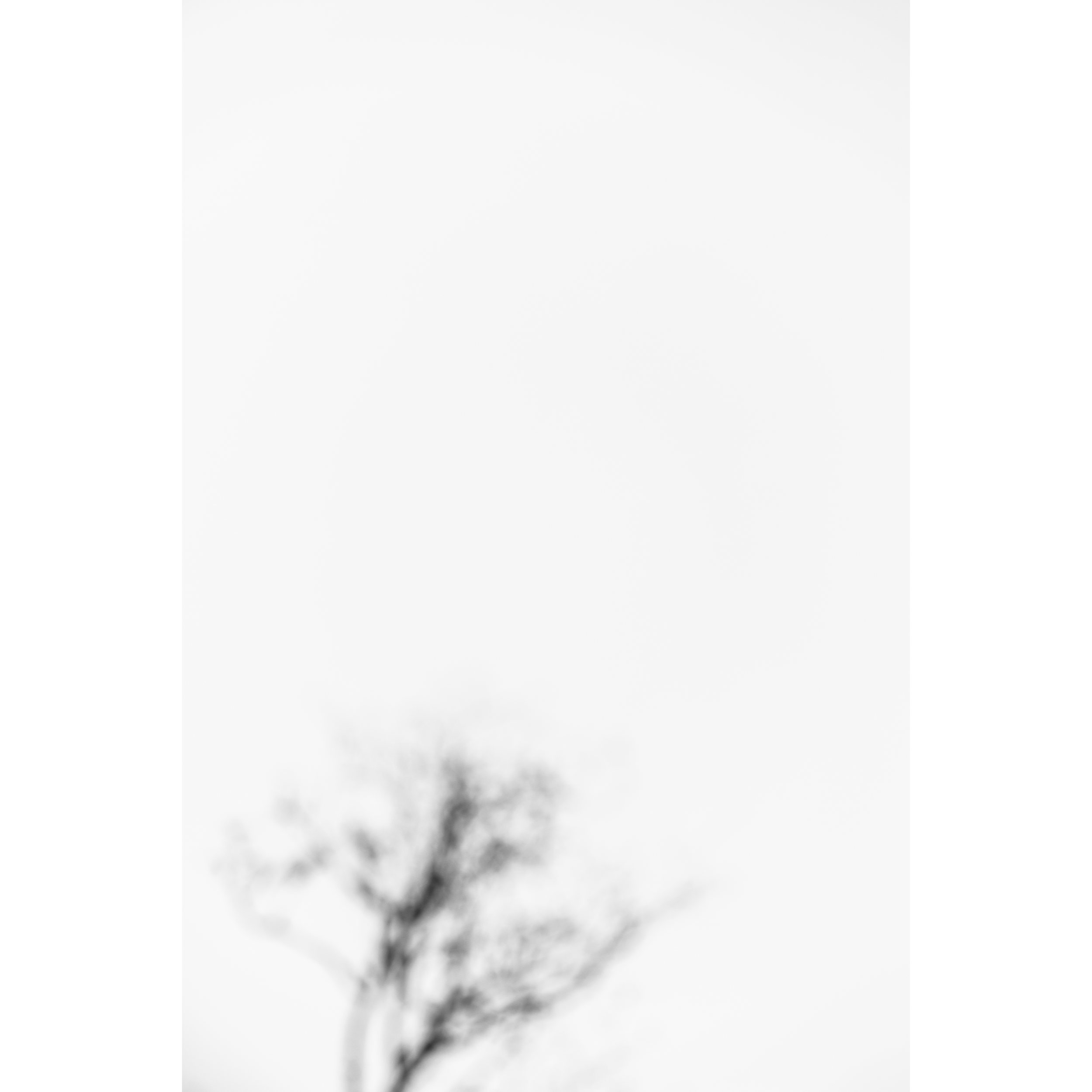 Untitled III