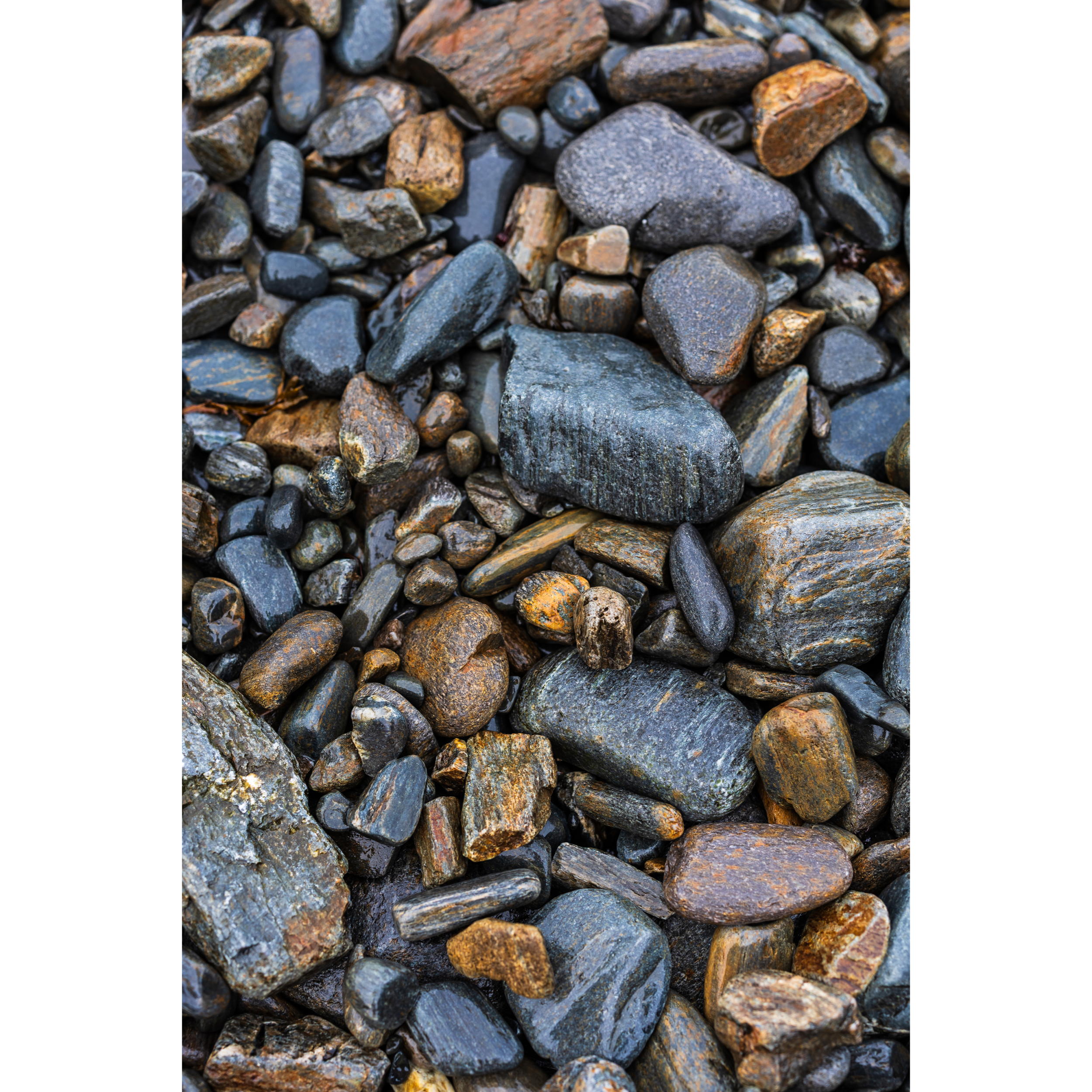 Beach Rocks