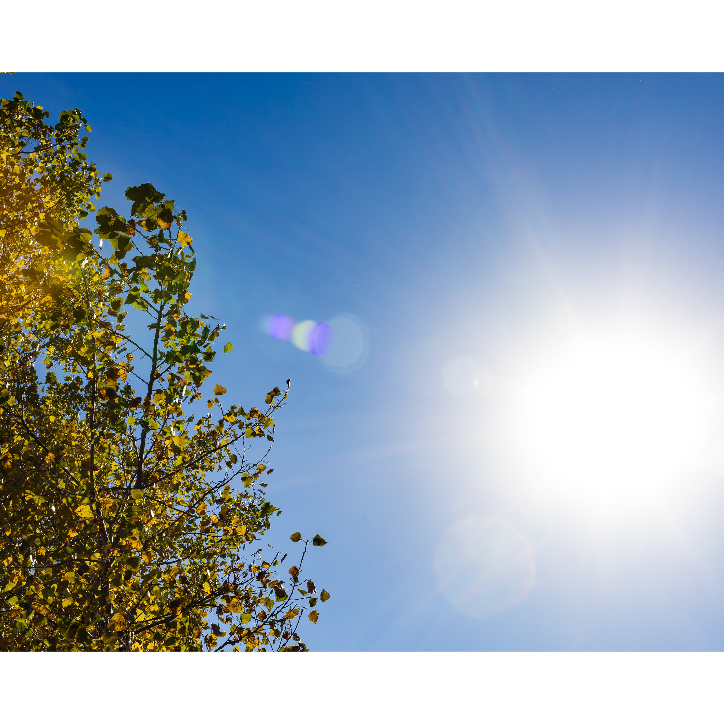 Sun XXIV