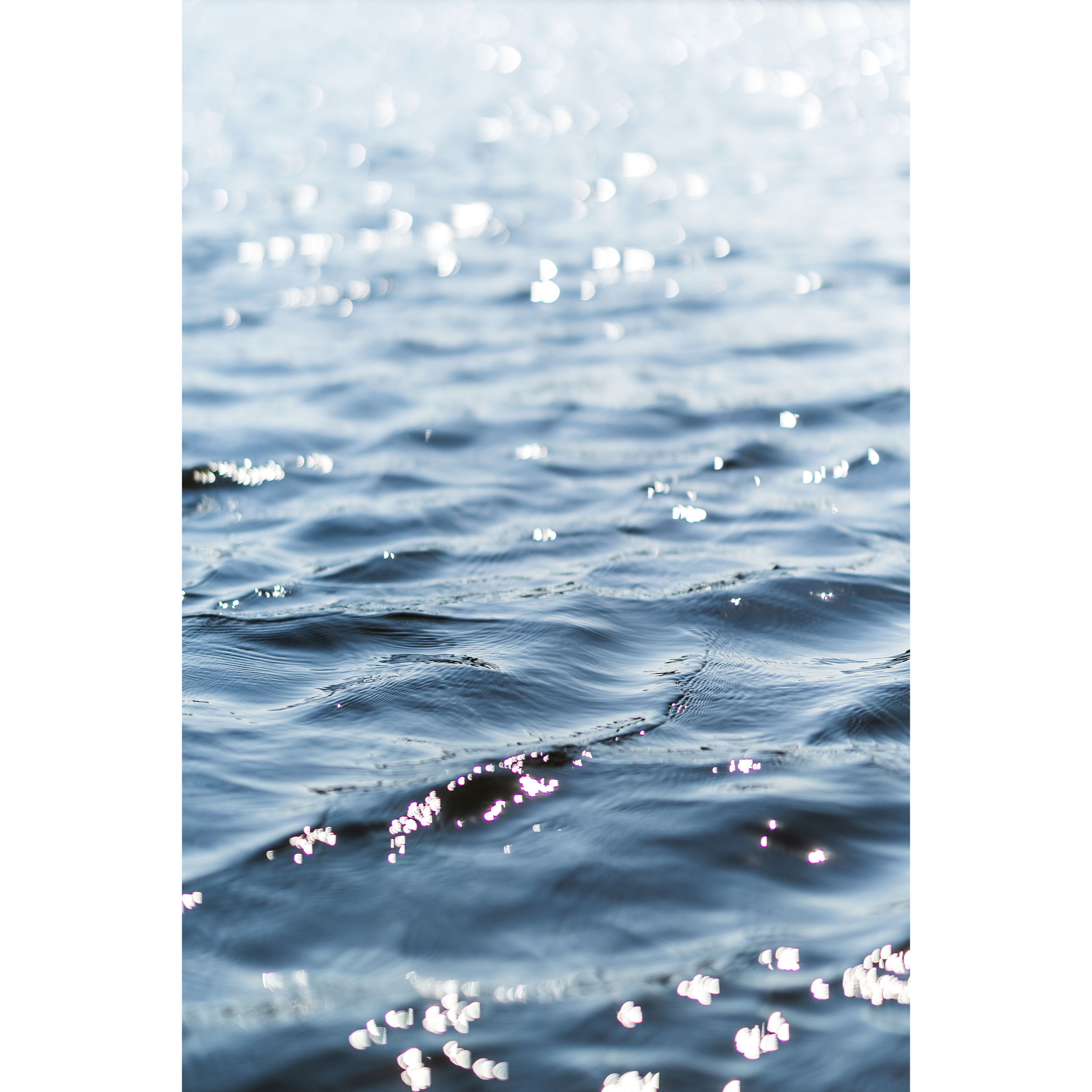 Salt Marsh II