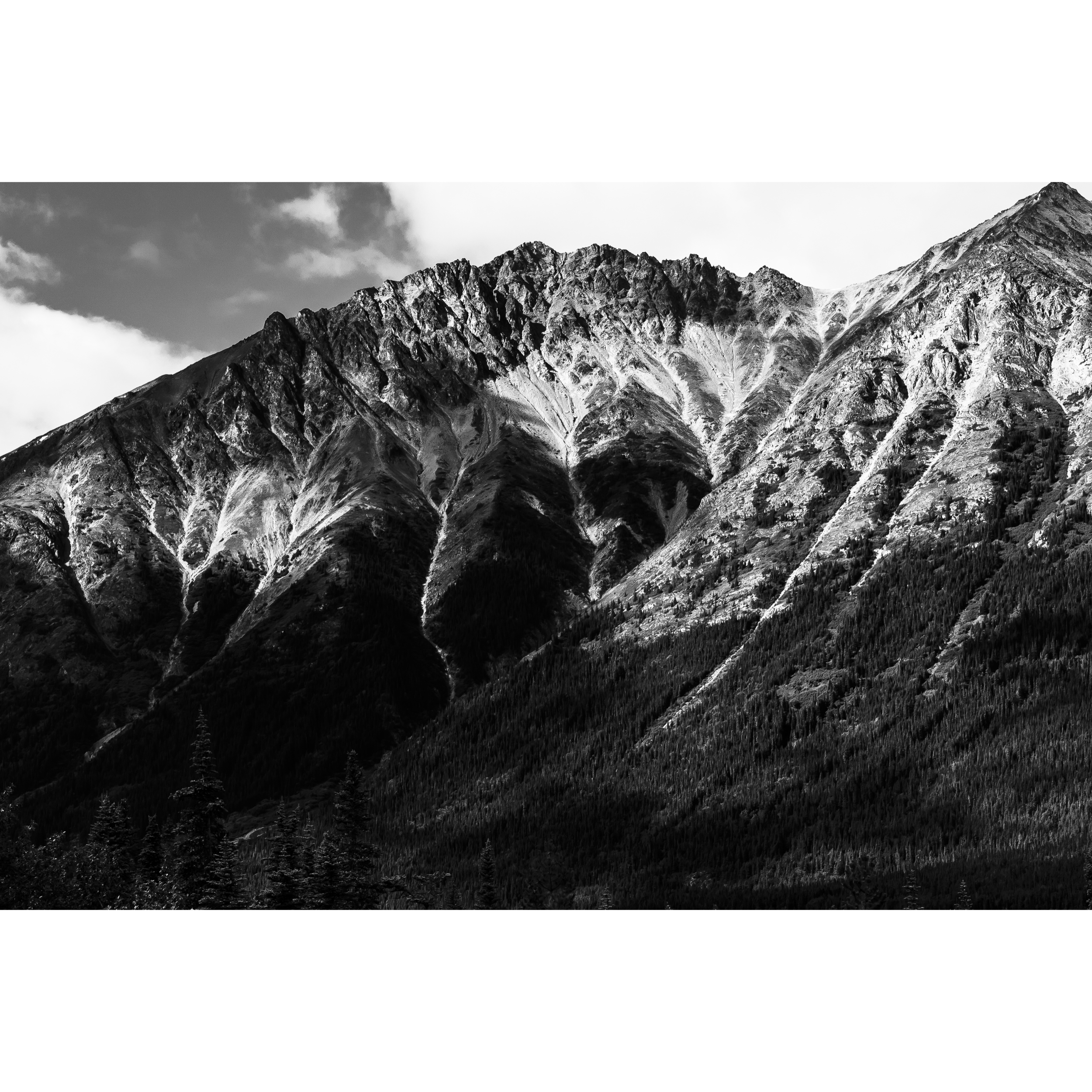 White Pass