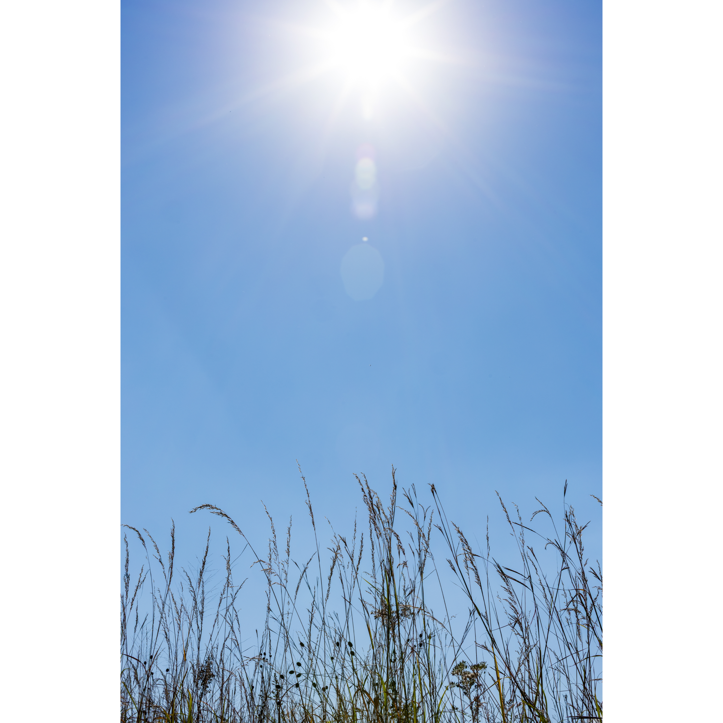 Sun XXVII