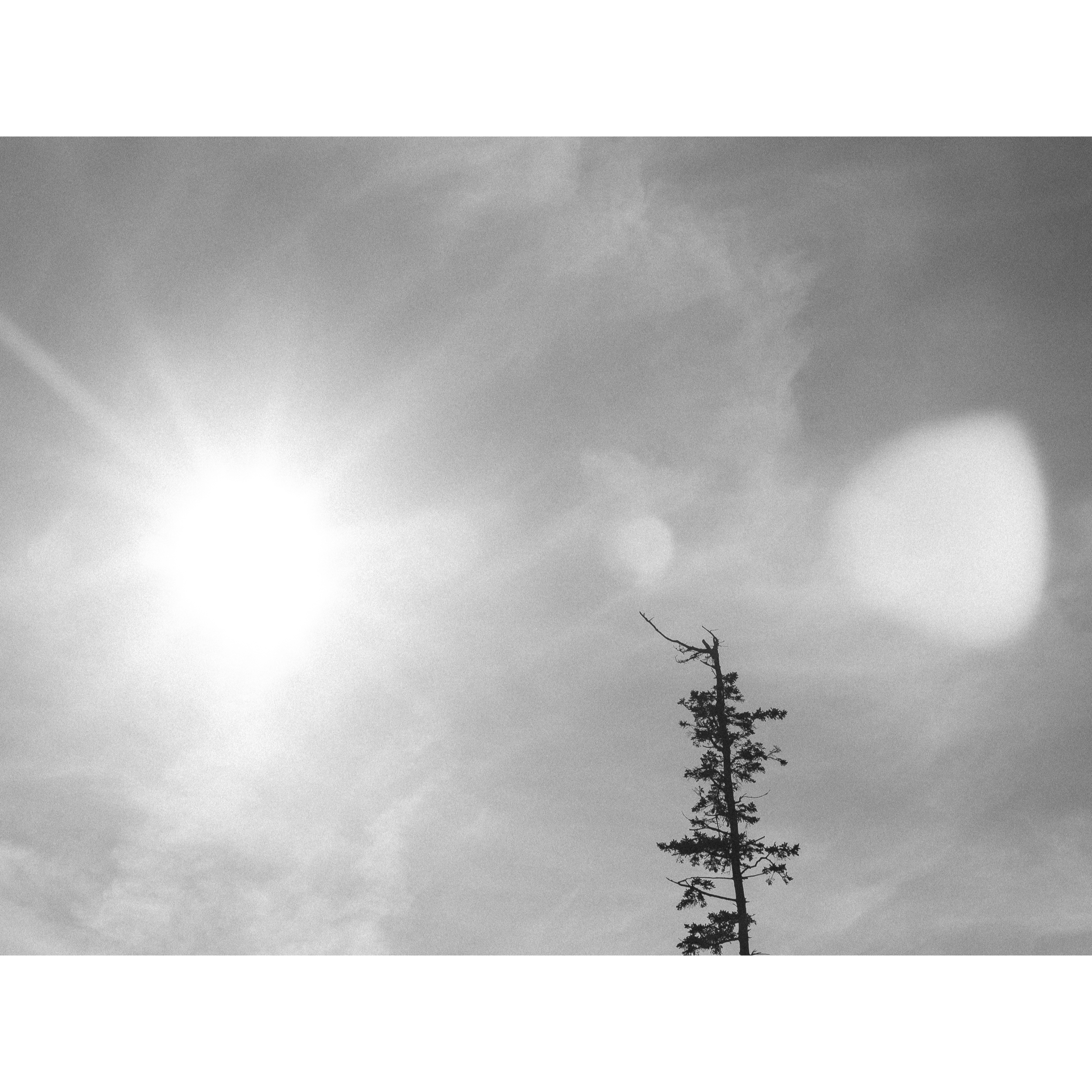 Sun XVII