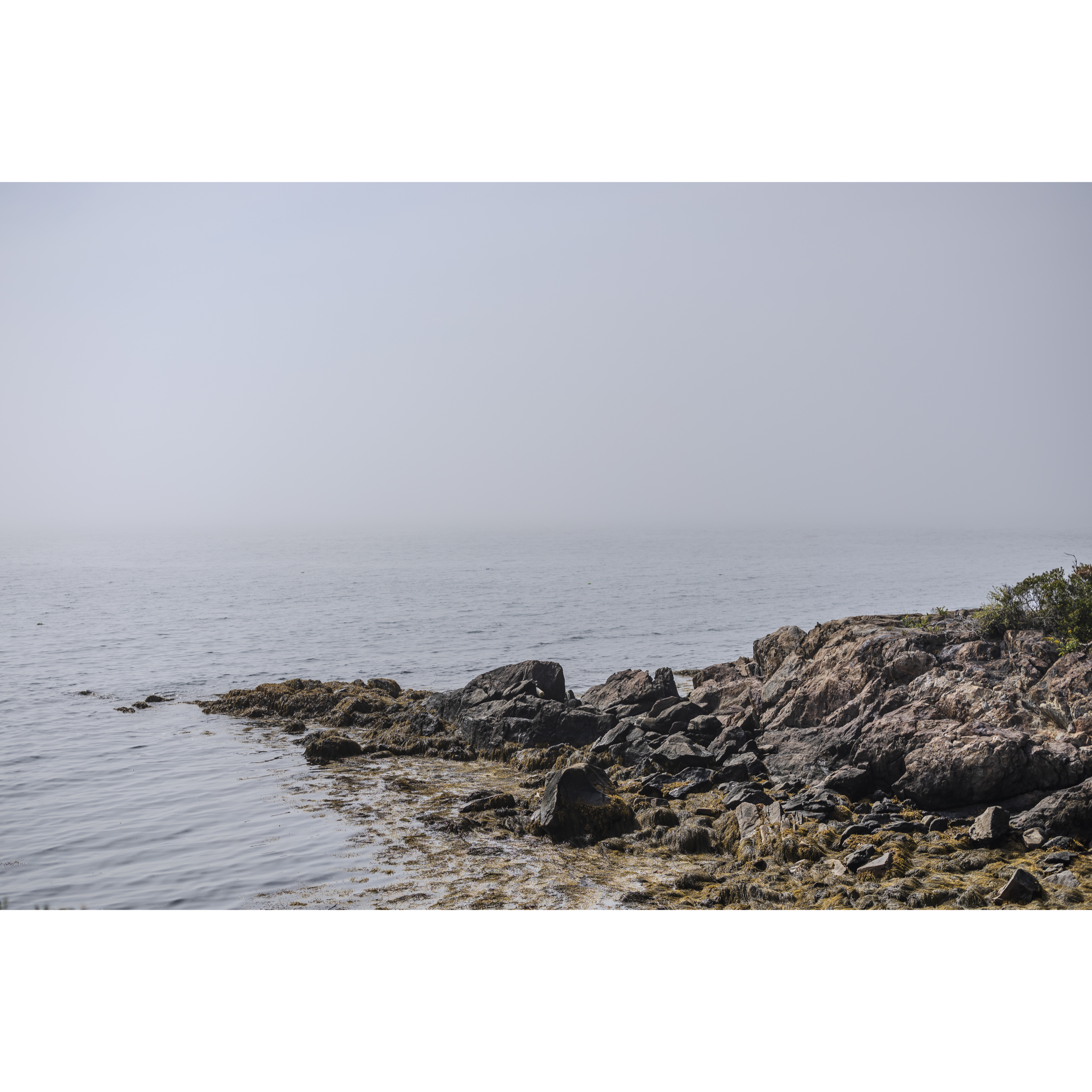 Atlantic Ocean V