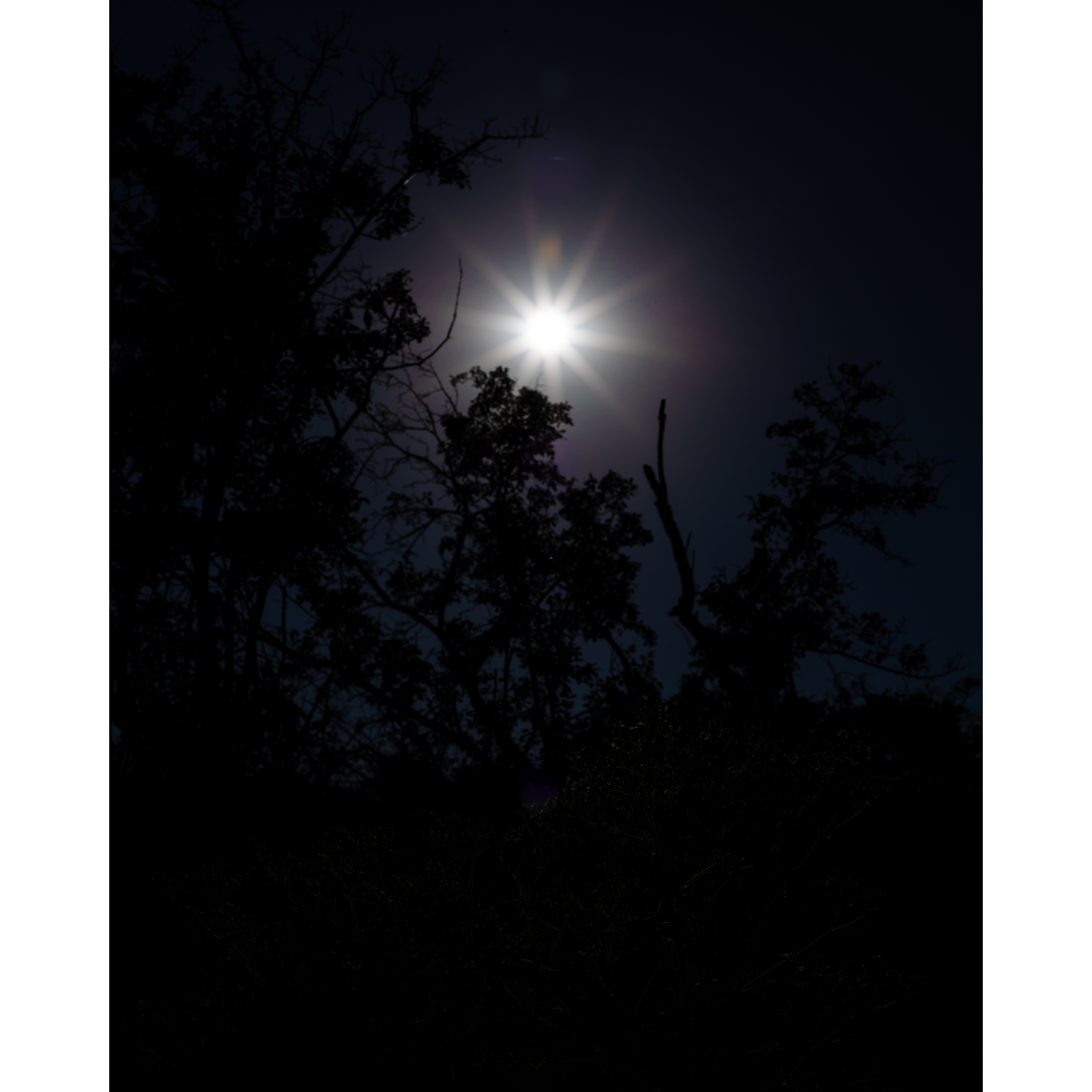 Sun XXXI