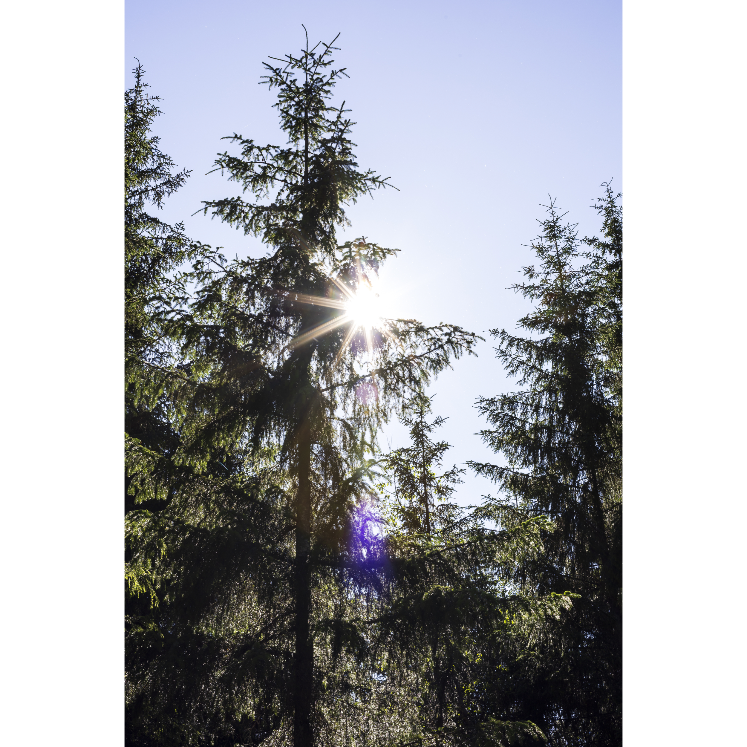 Sun XLVI