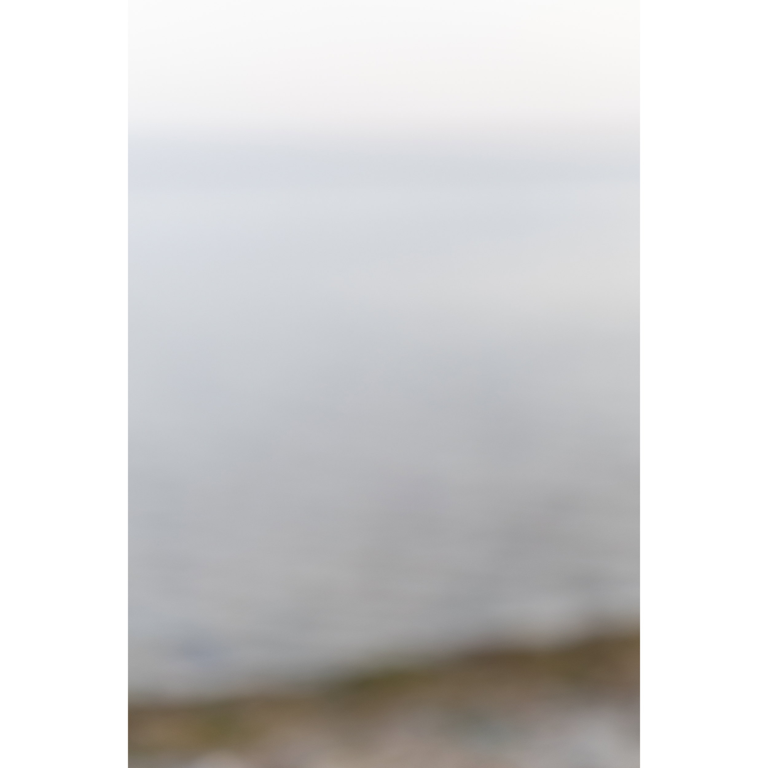 Shoreline